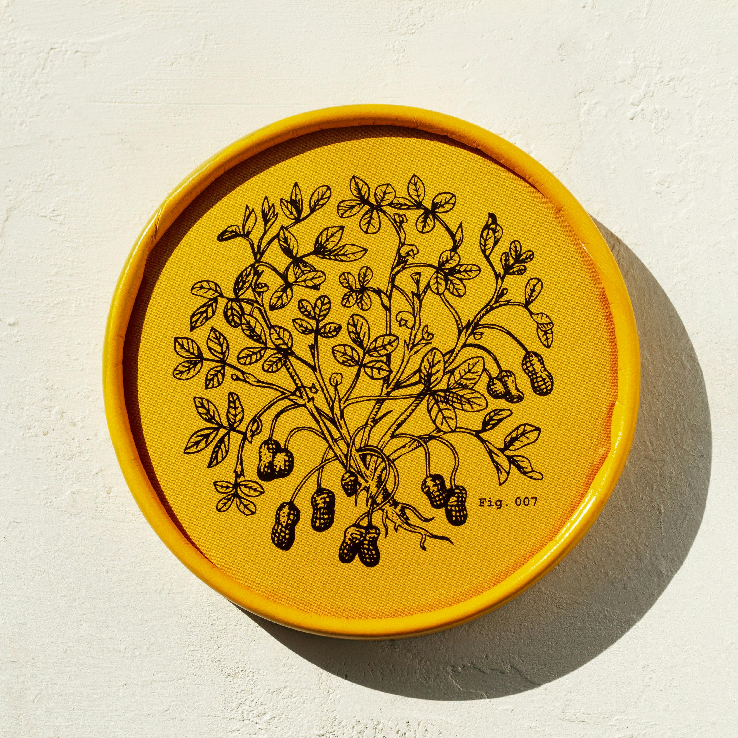 House Favorites Gelato - 4 Pints by Dolcezza Gelato - Alternate image 11