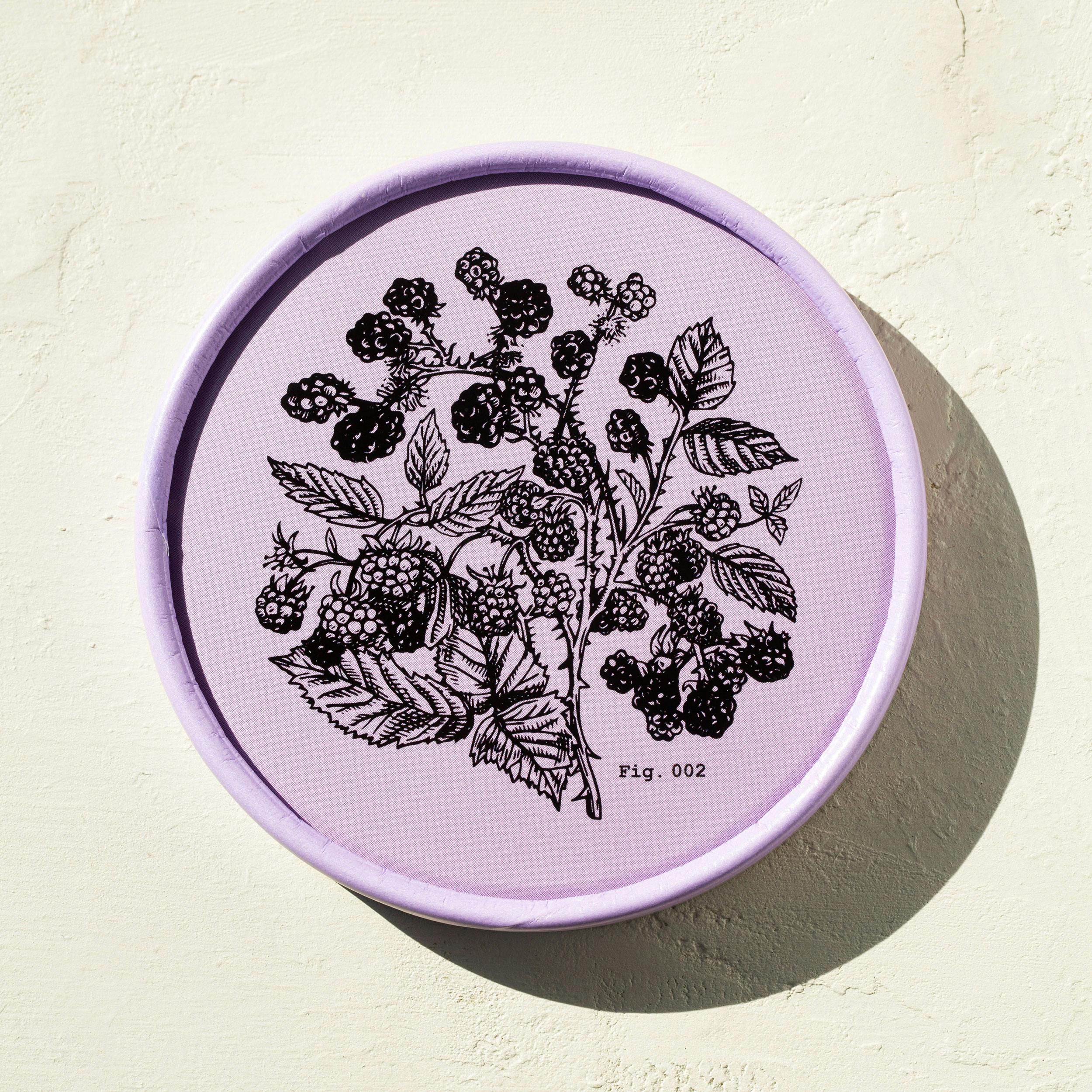 Gelato Best Sellers - 4 Pints by Dolcezza Gelato - Alternate image 3