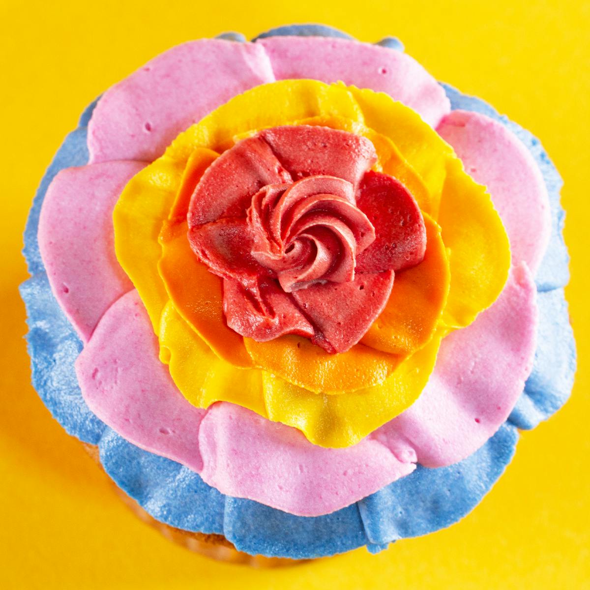 Vegan + Gluten Free Cinco De Mayo Cupcakes - 12 Pack by Erin McKenna's Bakery - Alternate image 1