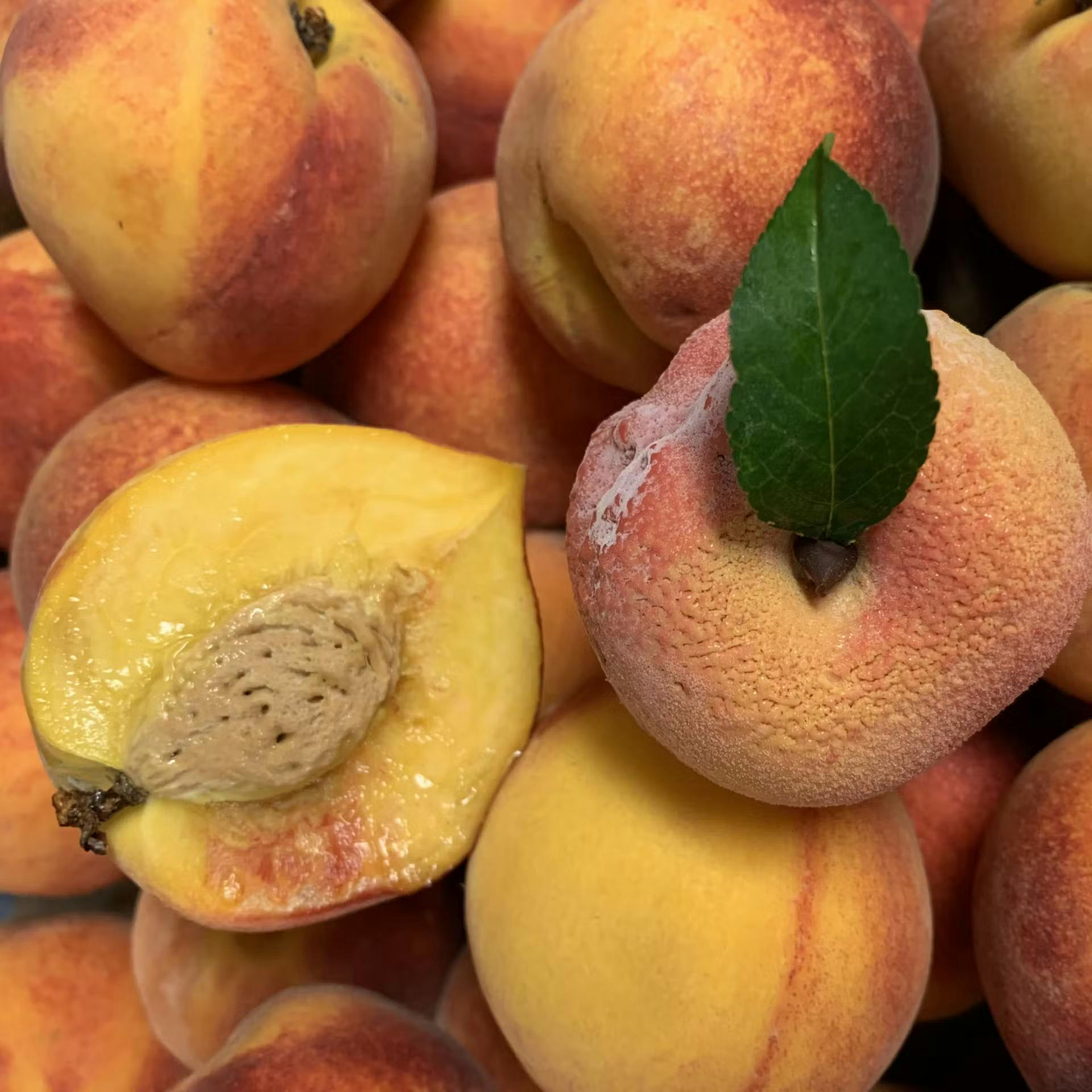 Peach Bombe Sorbet - 12 Pack by Life Raft Treats - Alternate image 3