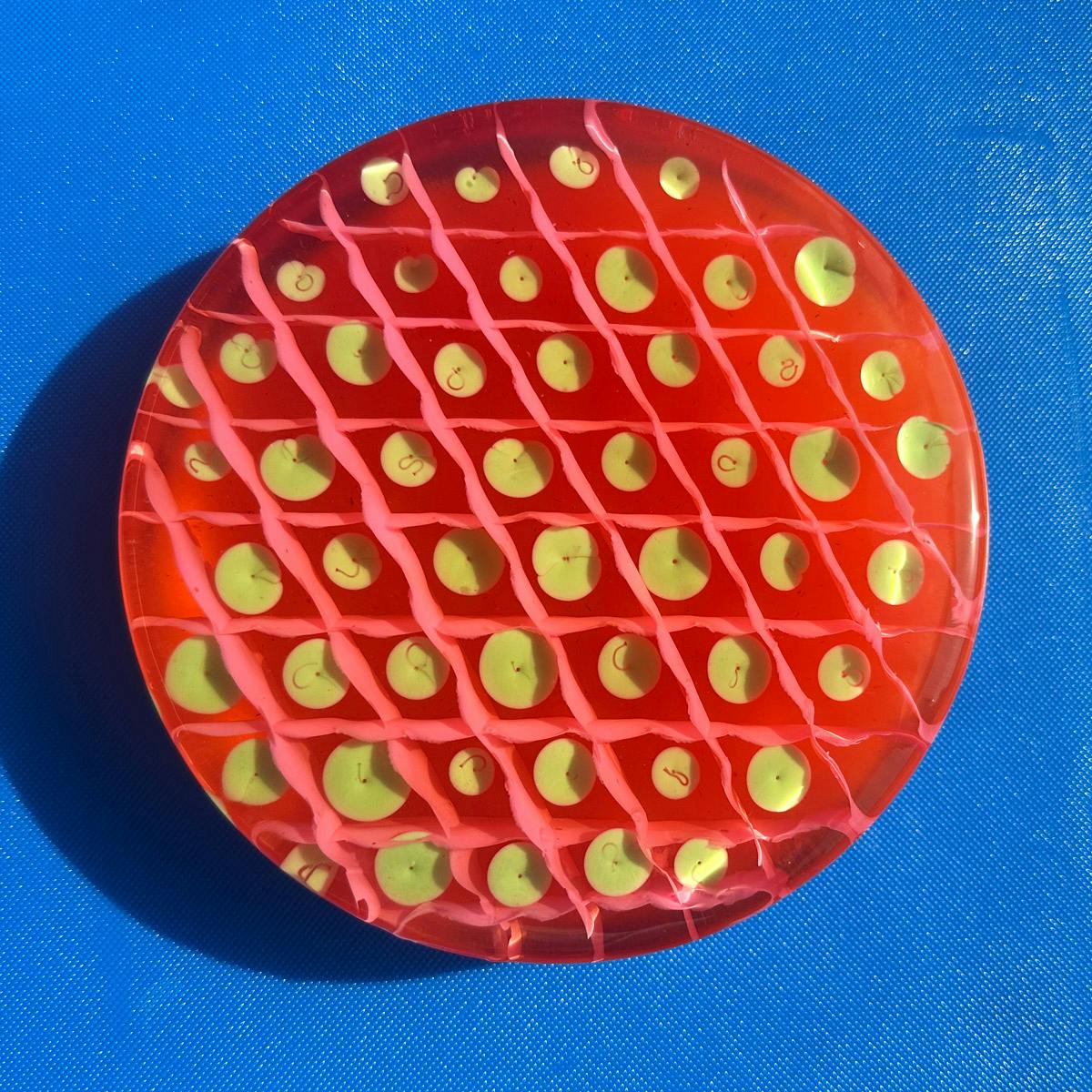 Strawberry Daiquiri Cocktail Boozy Jelly Cake by Solid Wiggles