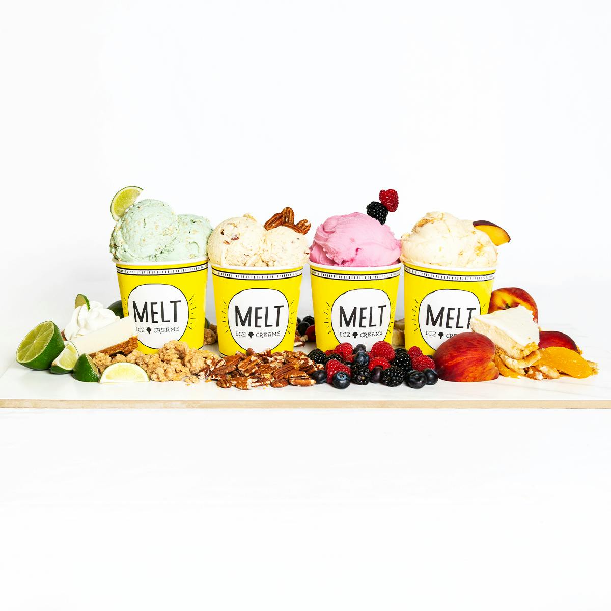 Summer Ice Cream Favorites - 6 Pints by MELT Ice Creams