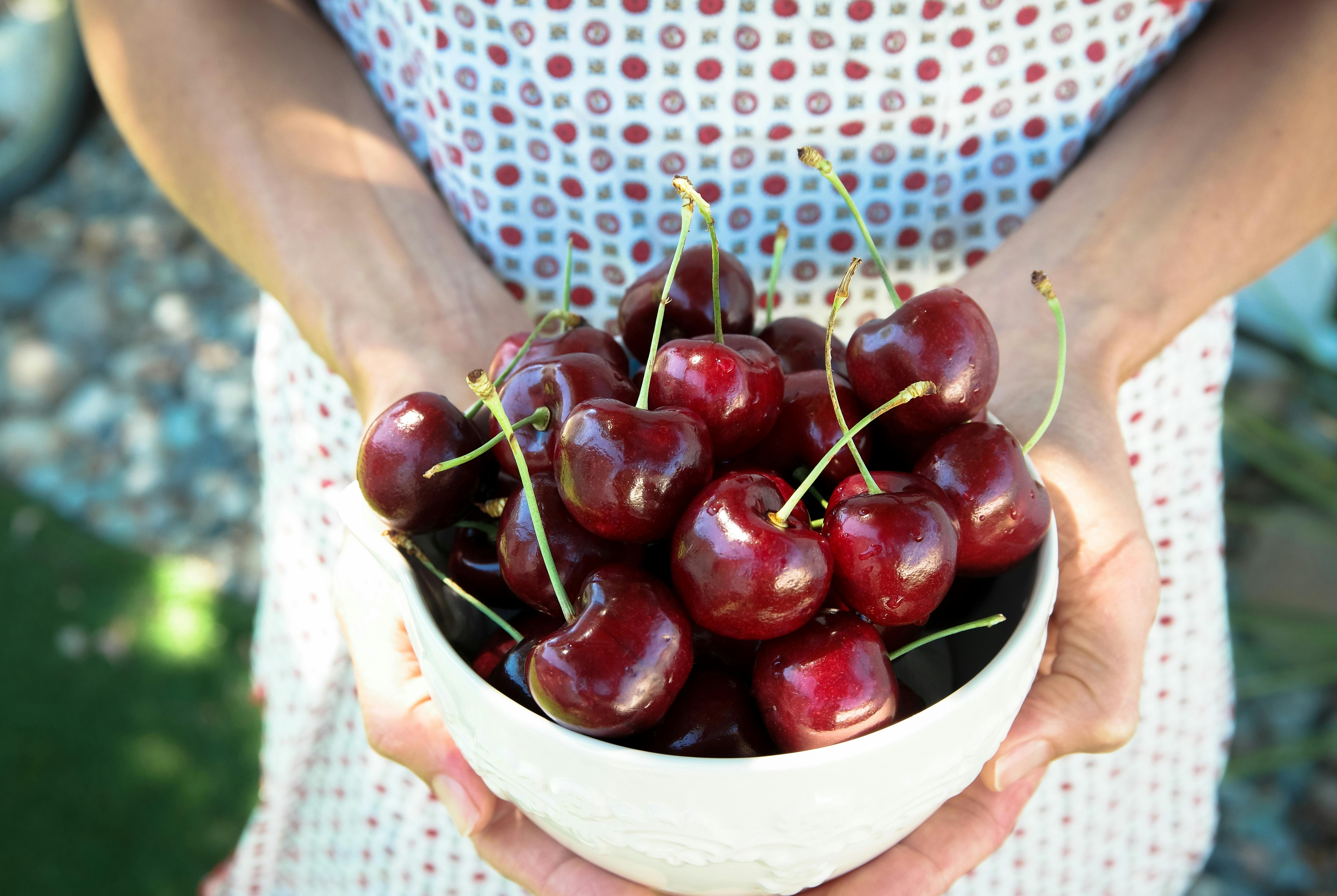 Fresh Jumbo Premium Sweet Cherries - 5 lbs. by Chelan Fresh Farms