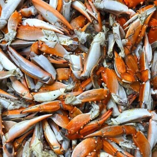 Maryland Blue Crab Claws - 3 lbs. by Cameron's Seafood