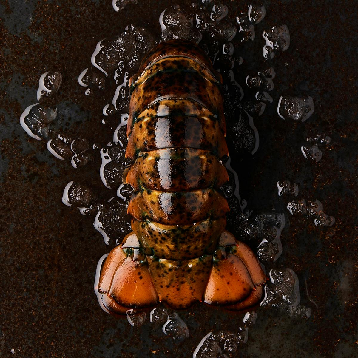 Extravagant Seafood Sampler by Tempus Seafoods - Alternate image 8