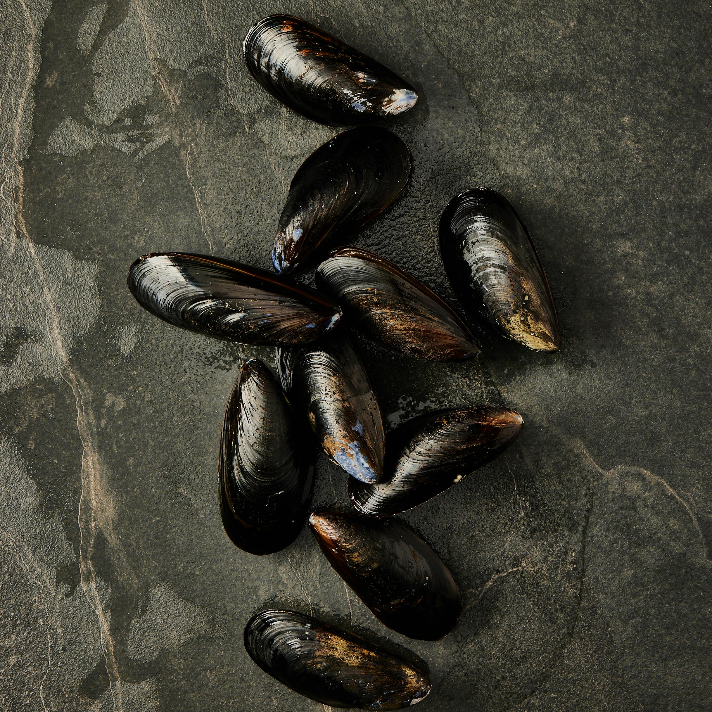 Intimate Seafood Sampler by Tempus Seafoods - Alternate image 5