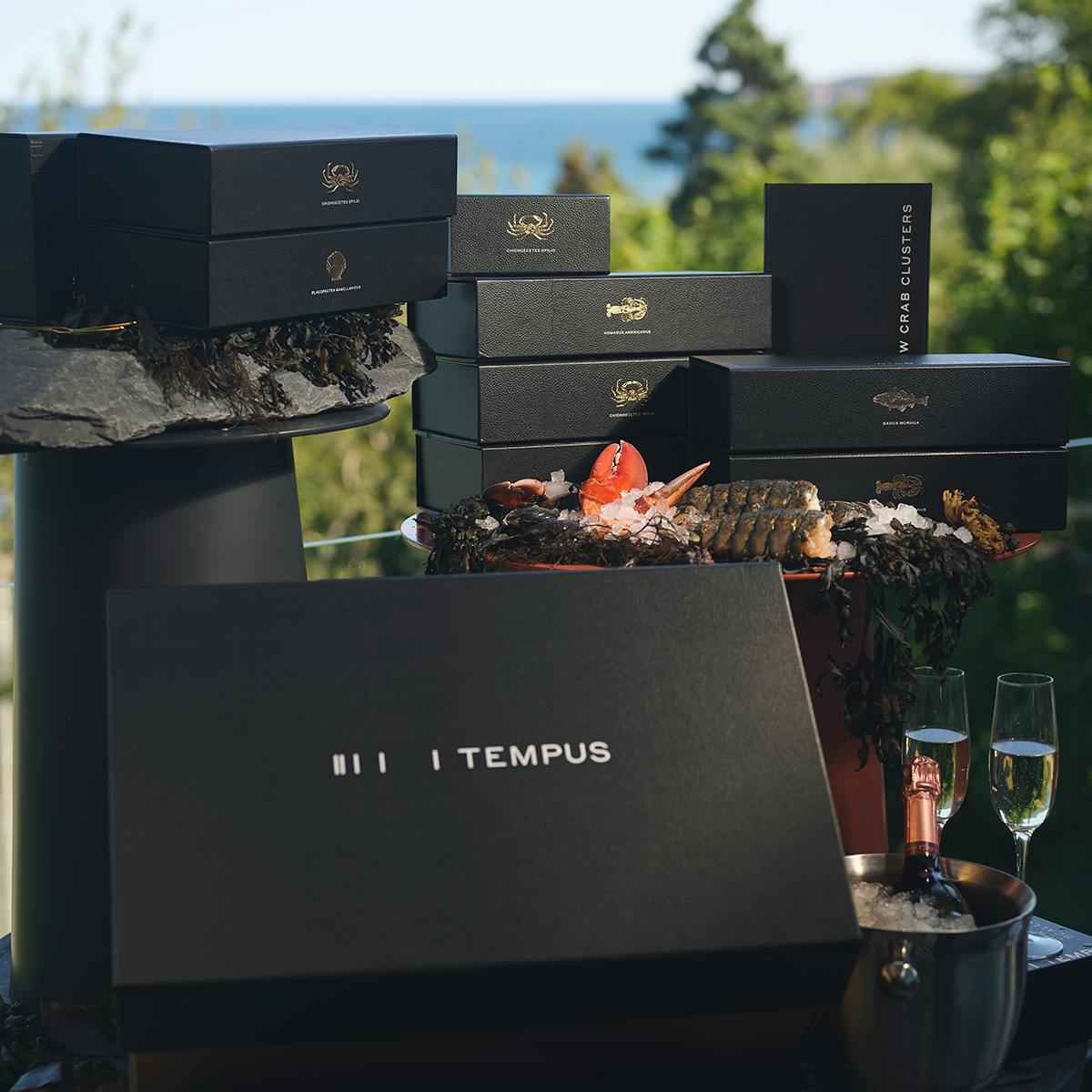 Chef's Dinner Seafood Sampler by Tempus Seafoods - Alternate image 10