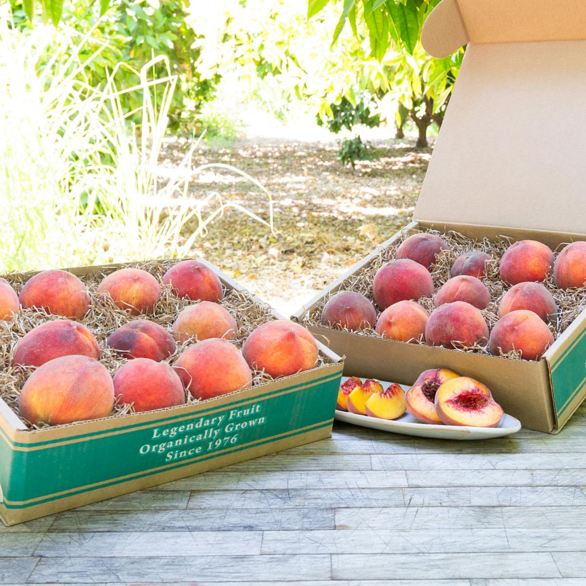 Organic Yellow Peaches by Frog Hollow Farm - Alternate image 1
