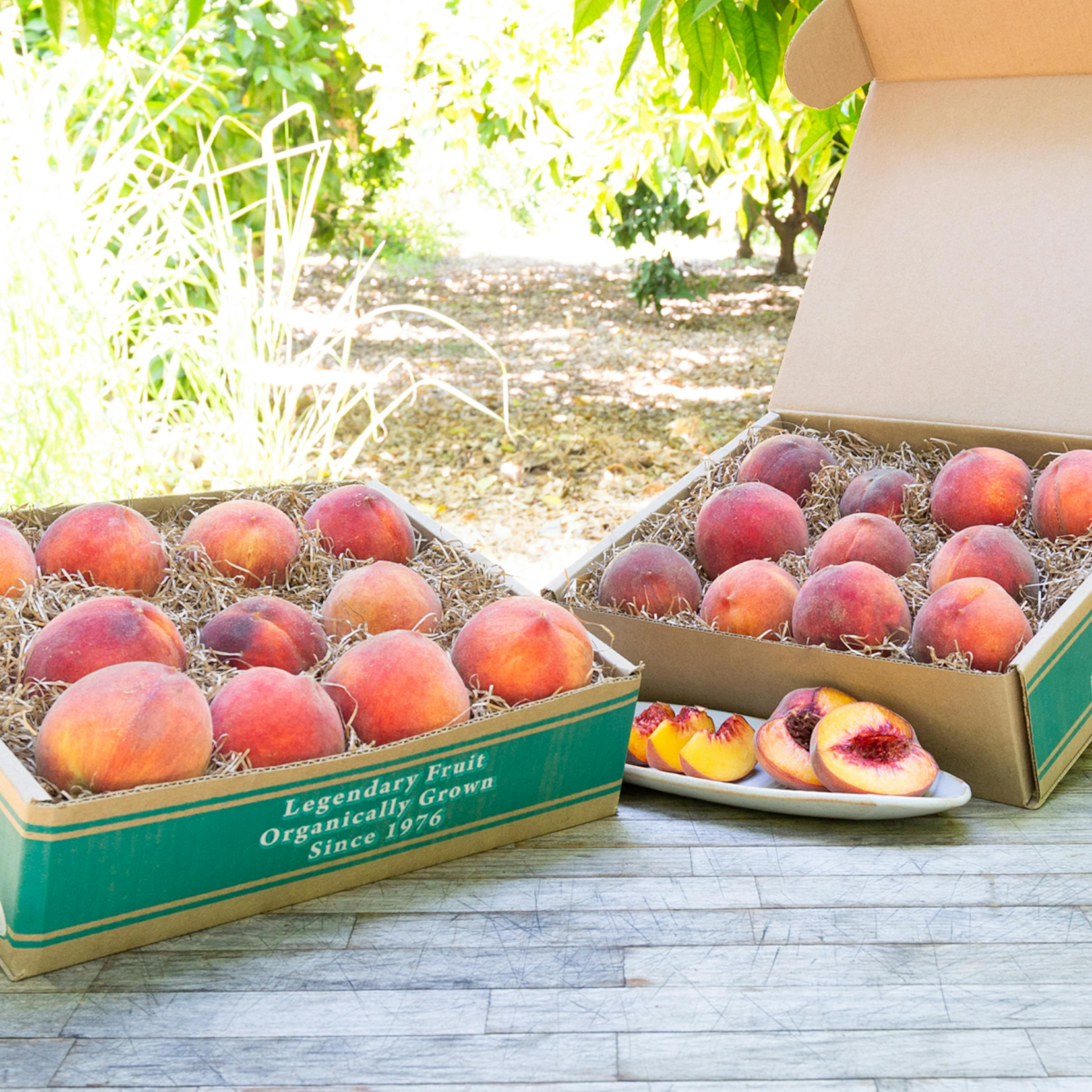 Organic Yellow Peaches by Frog Hollow Farm - Alternate image 1