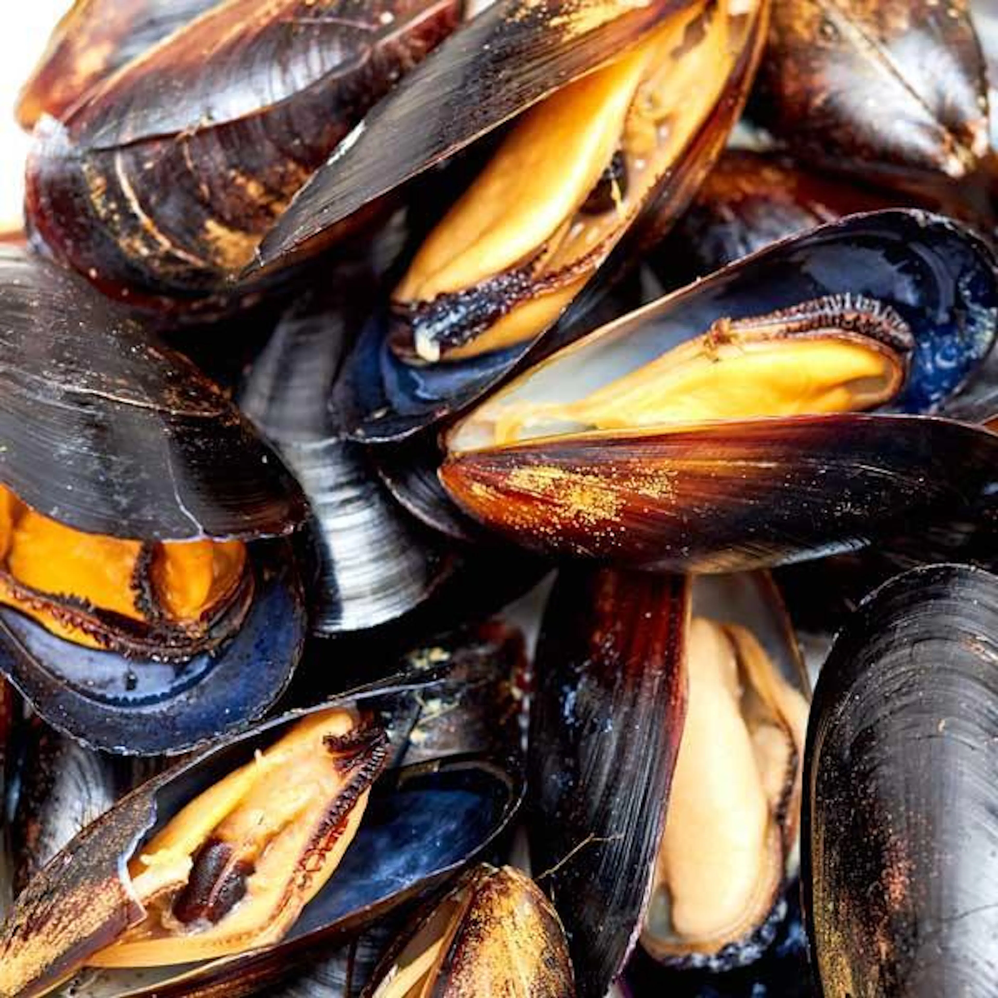 Mussels - 3 lbs. by Cameron's Seafood - Alternate image 1