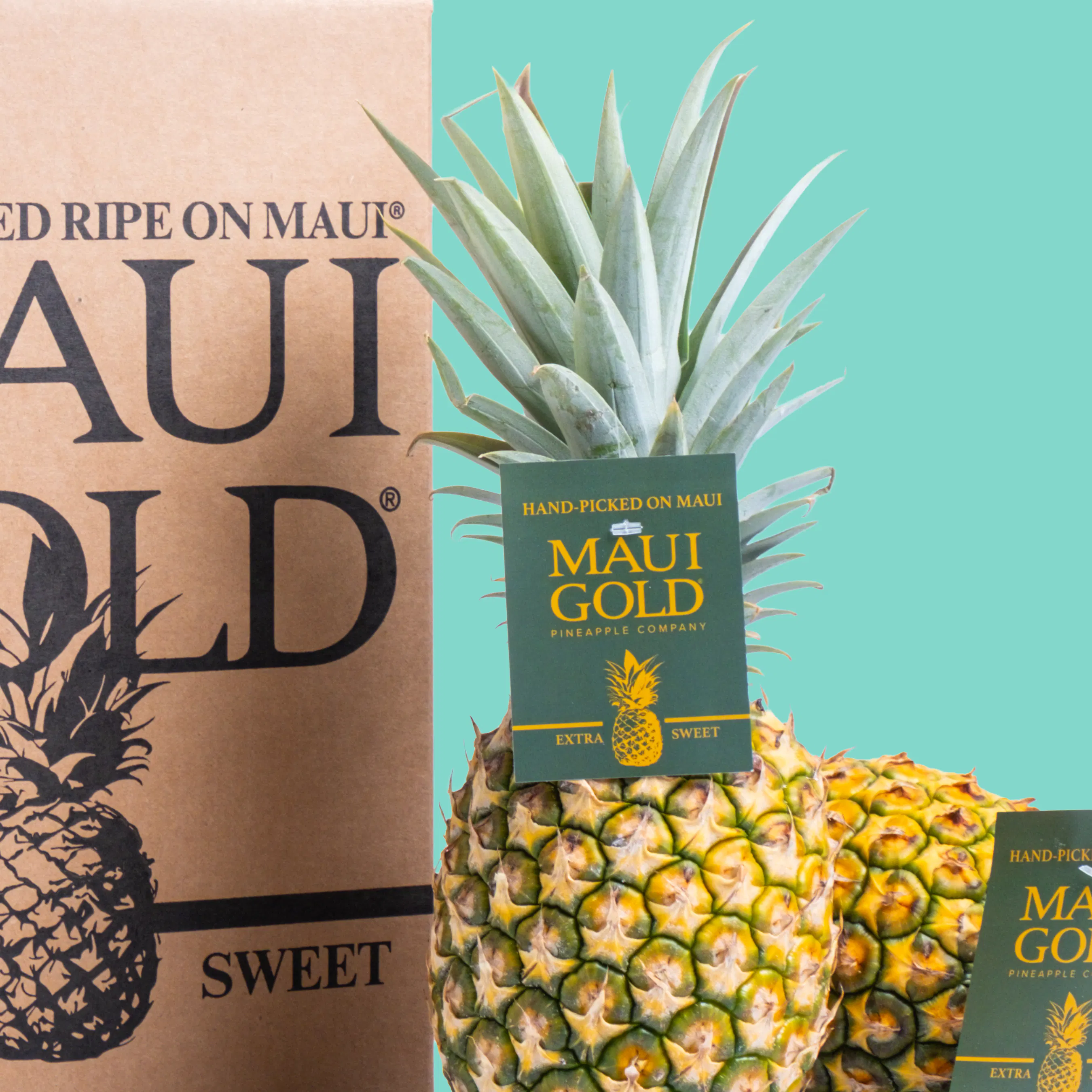 Maui Gold® Pineapple - 4 Pack by Maui Gold® Pineapple | Goldbelly