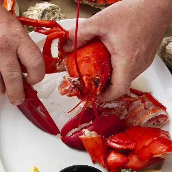 Steamed Lobsters - 2 Pack by Cameron's Seafood - Alternate image 2