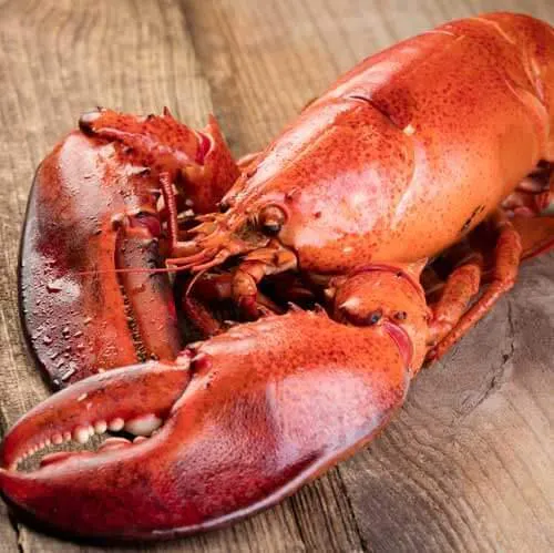 Steamed Lobsters - 2 Pack by Cameron's Seafood