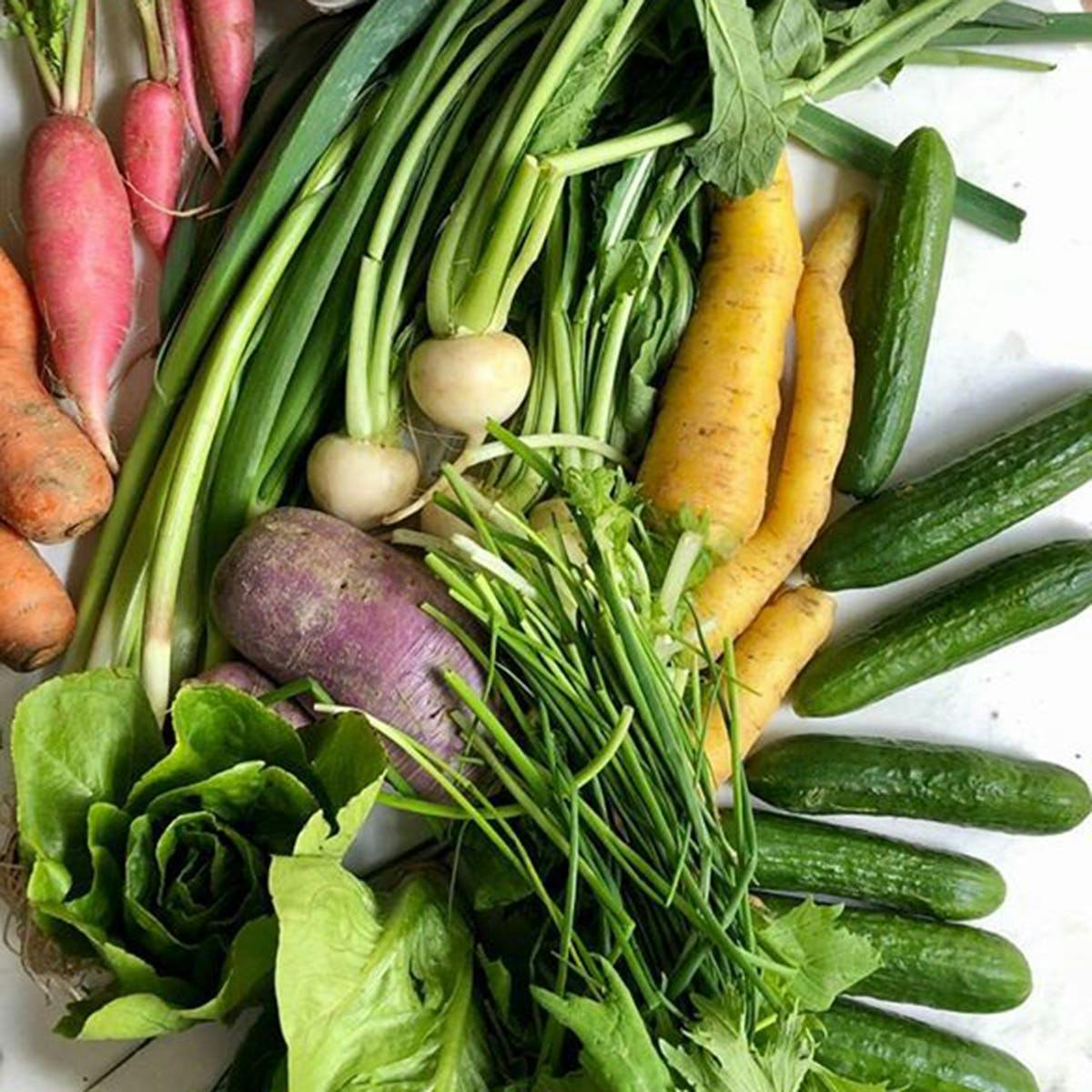 Chef's Sampler Produce Box by Norwich Meadows Farm - Alternate image 8