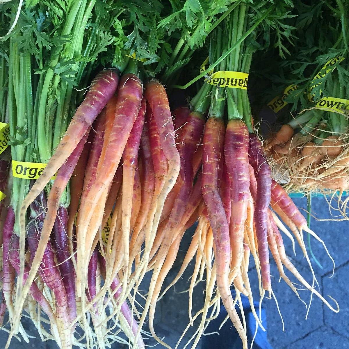 Chef's Sampler Produce Box by Norwich Meadows Farm - Alternate image 5