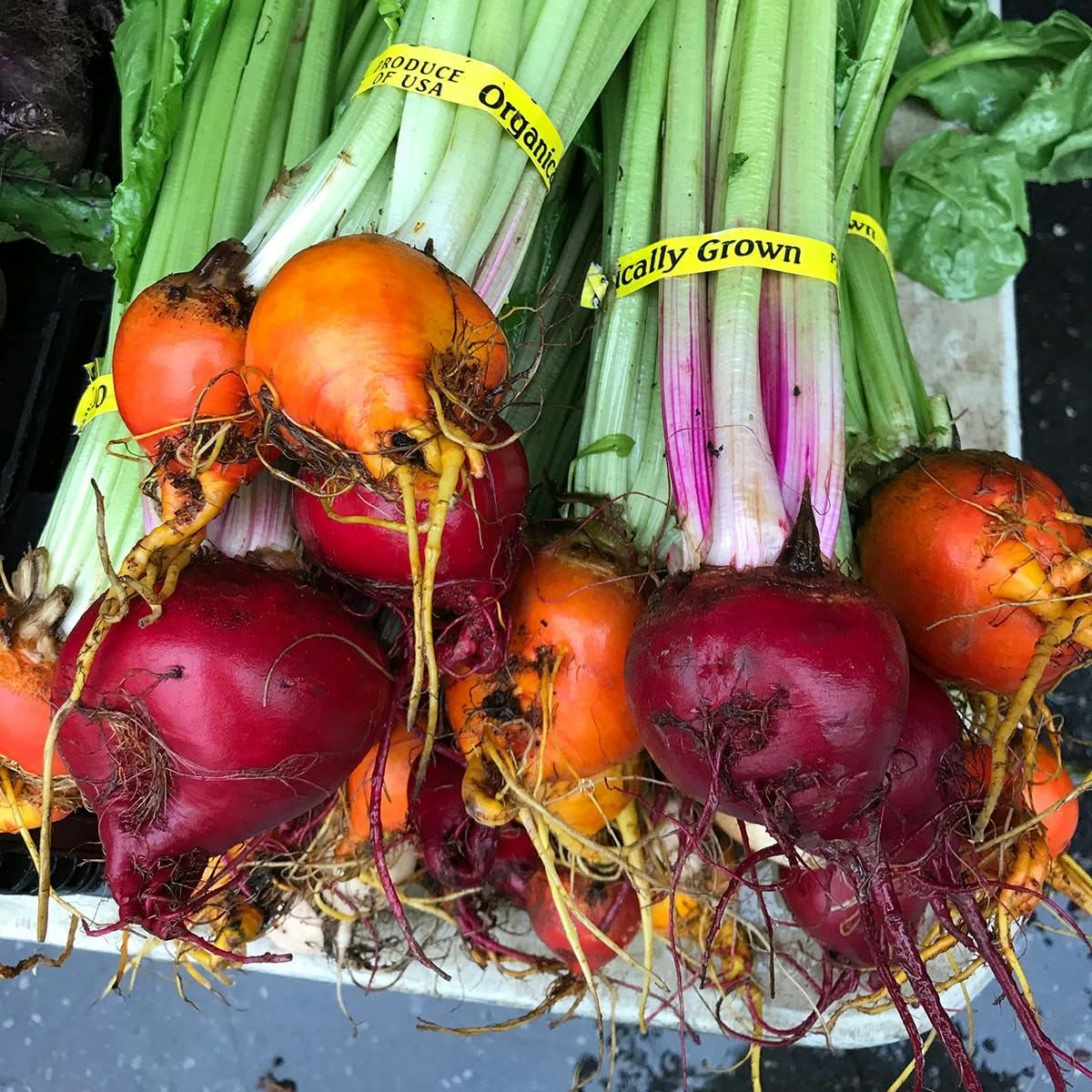 Chef's Sampler Produce Box by Norwich Meadows Farm - Alternate image 3