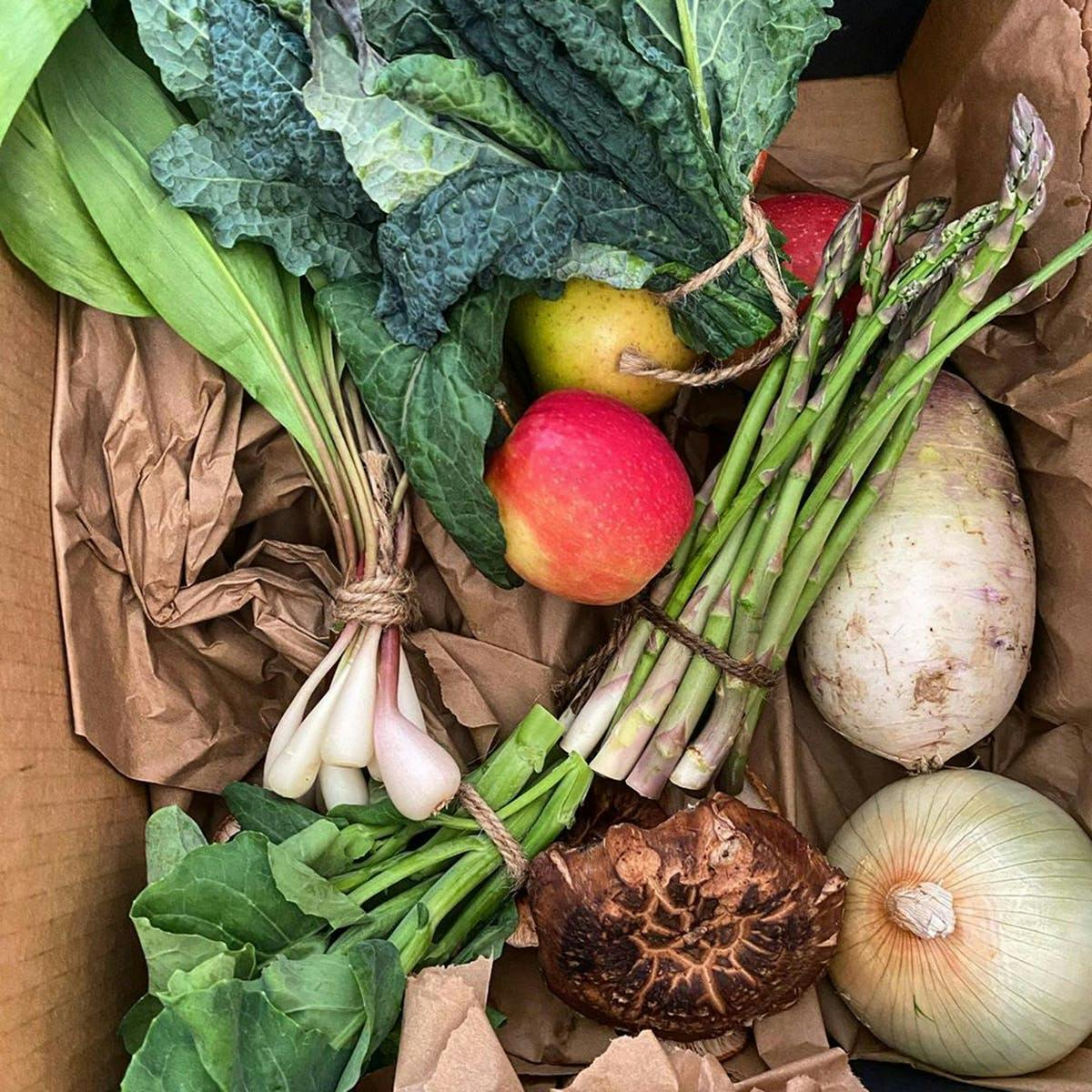 Chef's Sampler Produce Box by Norwich Meadows Farm