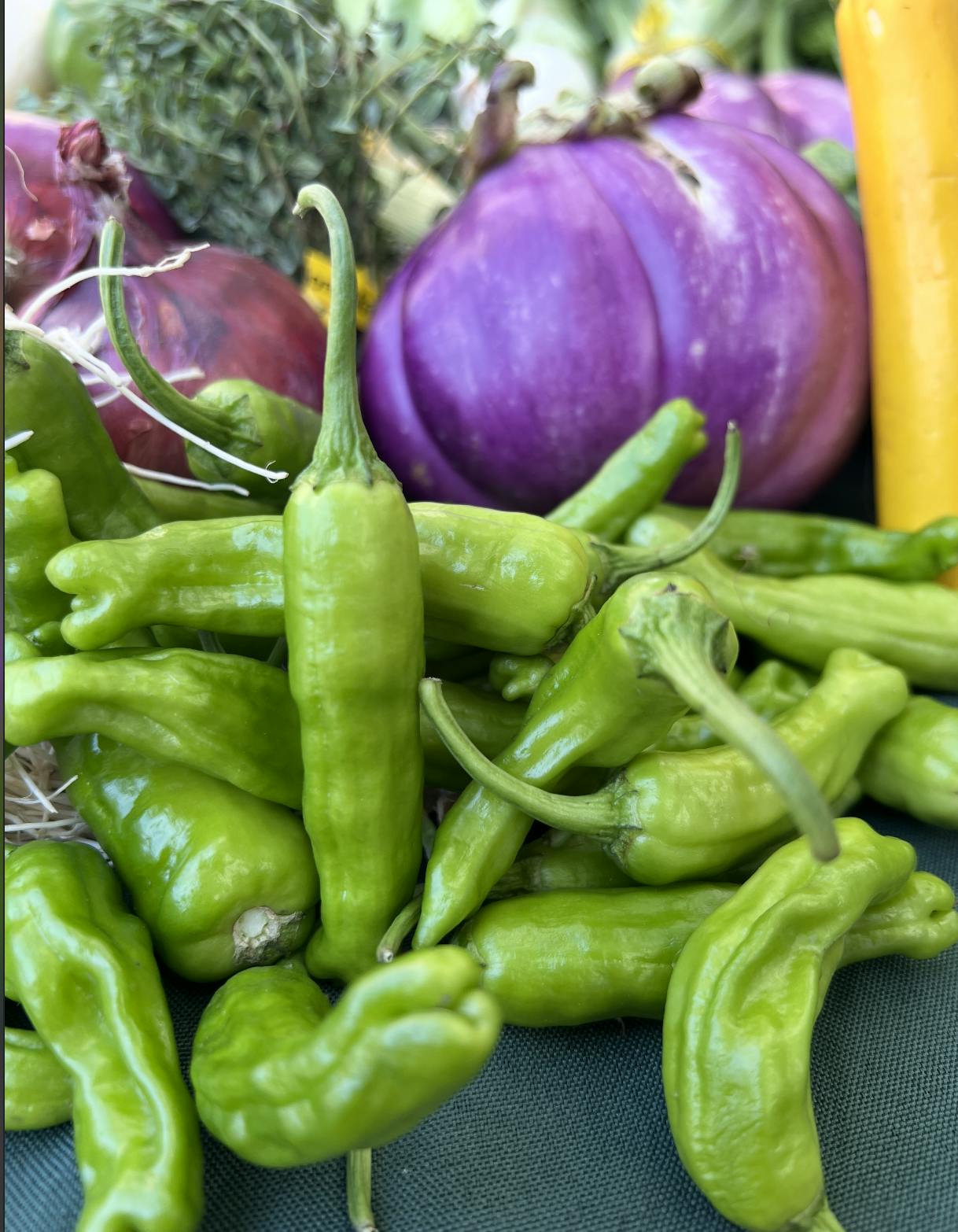 Assorted Vegetables Grill Box by Norwich Meadows Farm - Alternate image 6