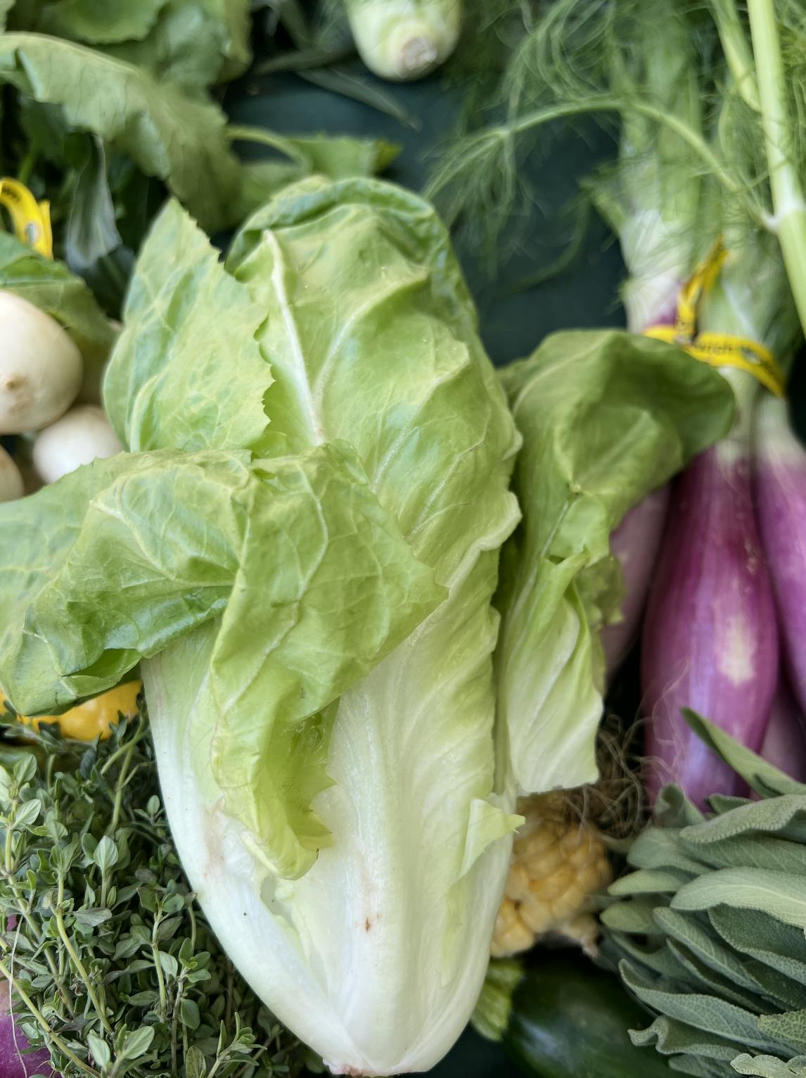 Assorted Vegetables Grill Box by Norwich Meadows Farm - Alternate image 5
