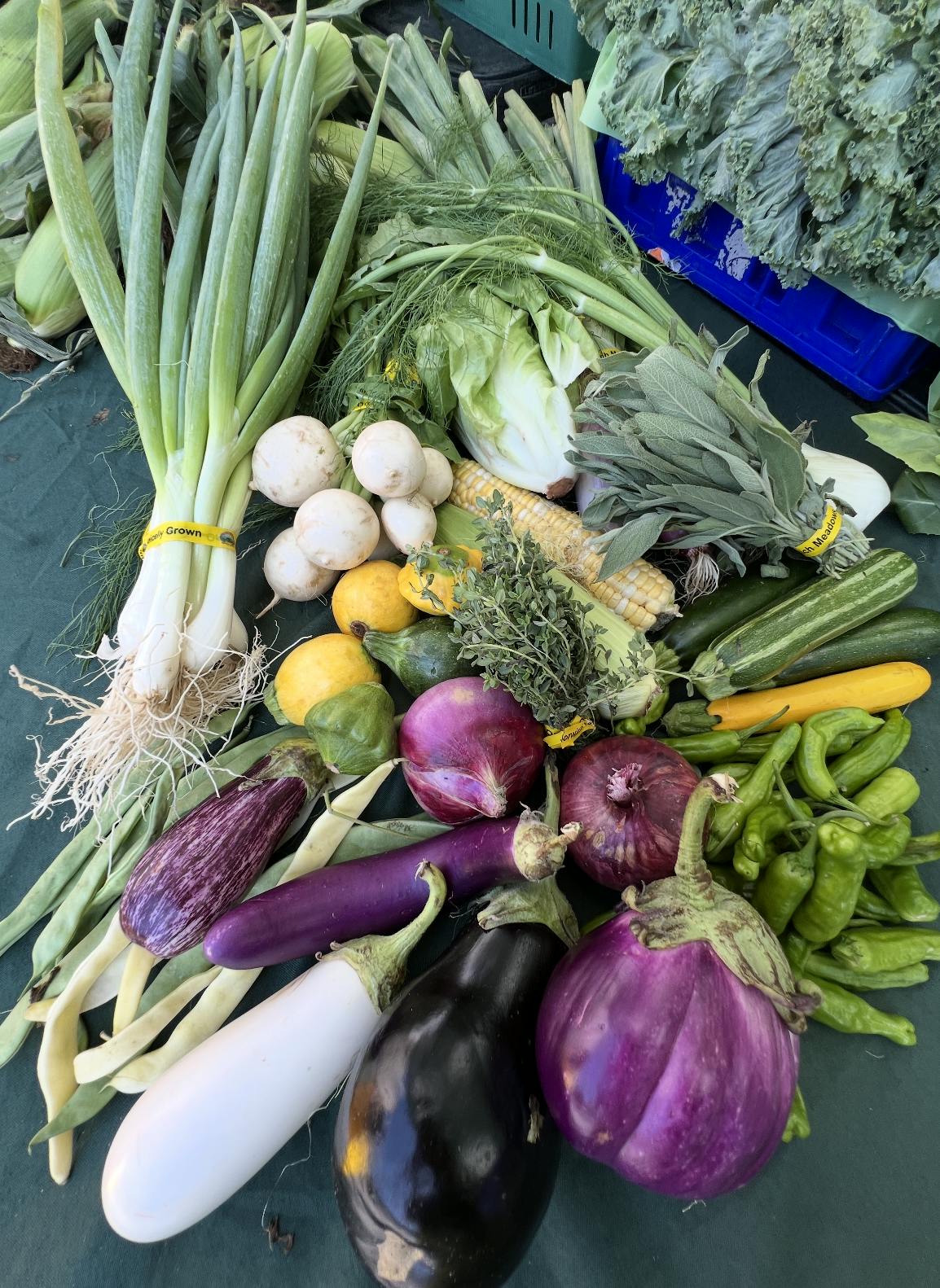 Assorted Vegetables Grill Box by Norwich Meadows Farm - Alternate image 7