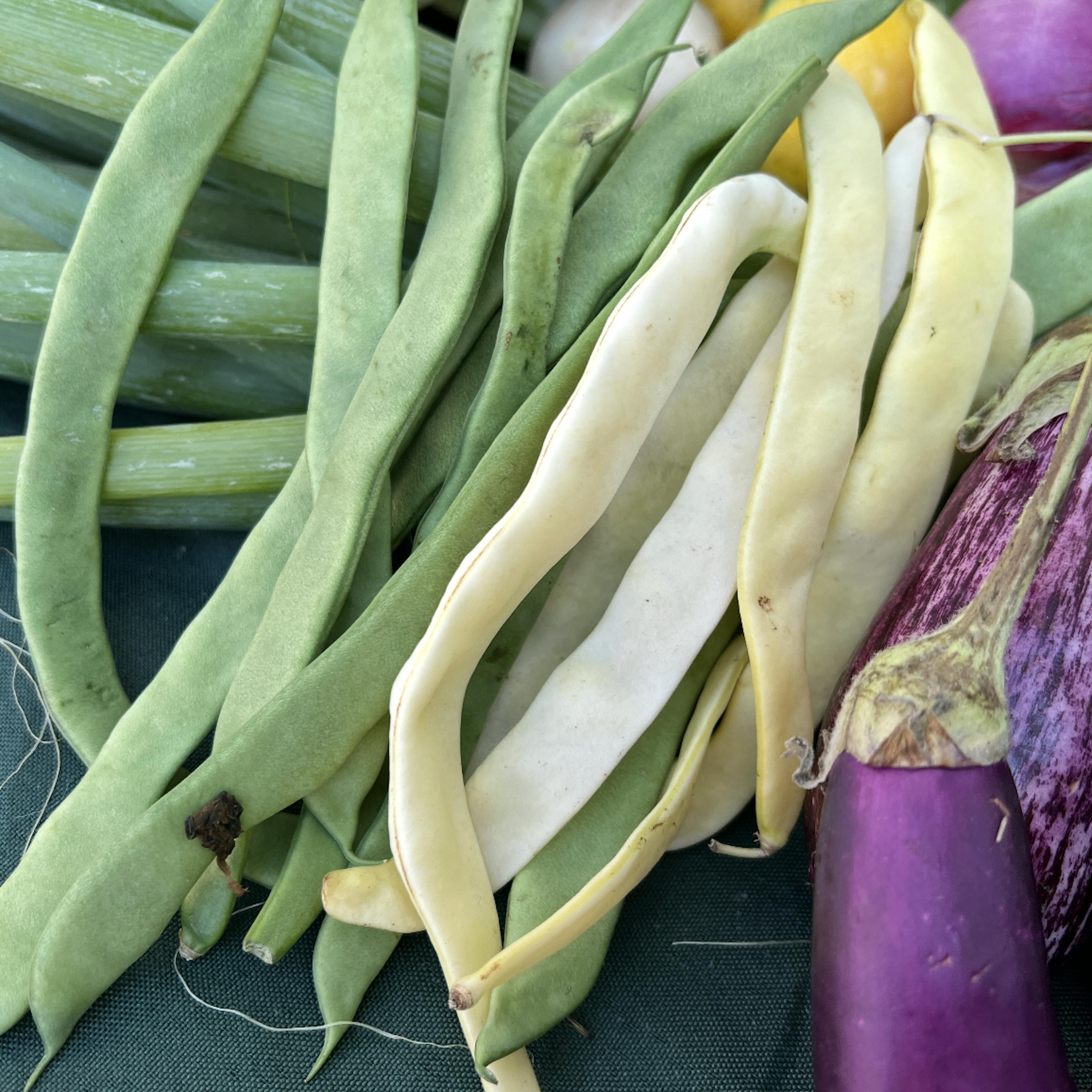 Assorted Vegetables Grill Box by Norwich Meadows Farm - Alternate image 4