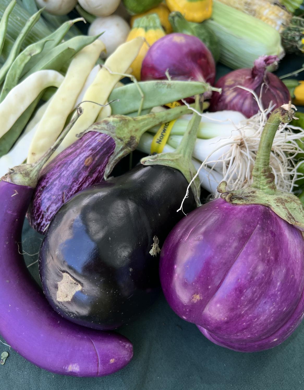 Assorted Vegetables Grill Box by Norwich Meadows Farm - Alternate image 3