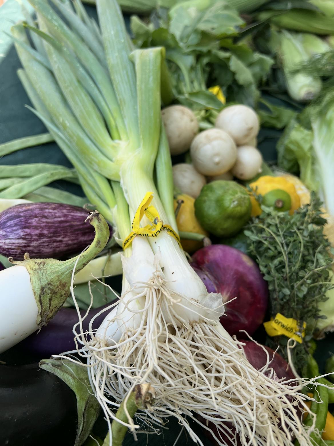 Assorted Vegetables Grill Box by Norwich Meadows Farm - Alternate image 2