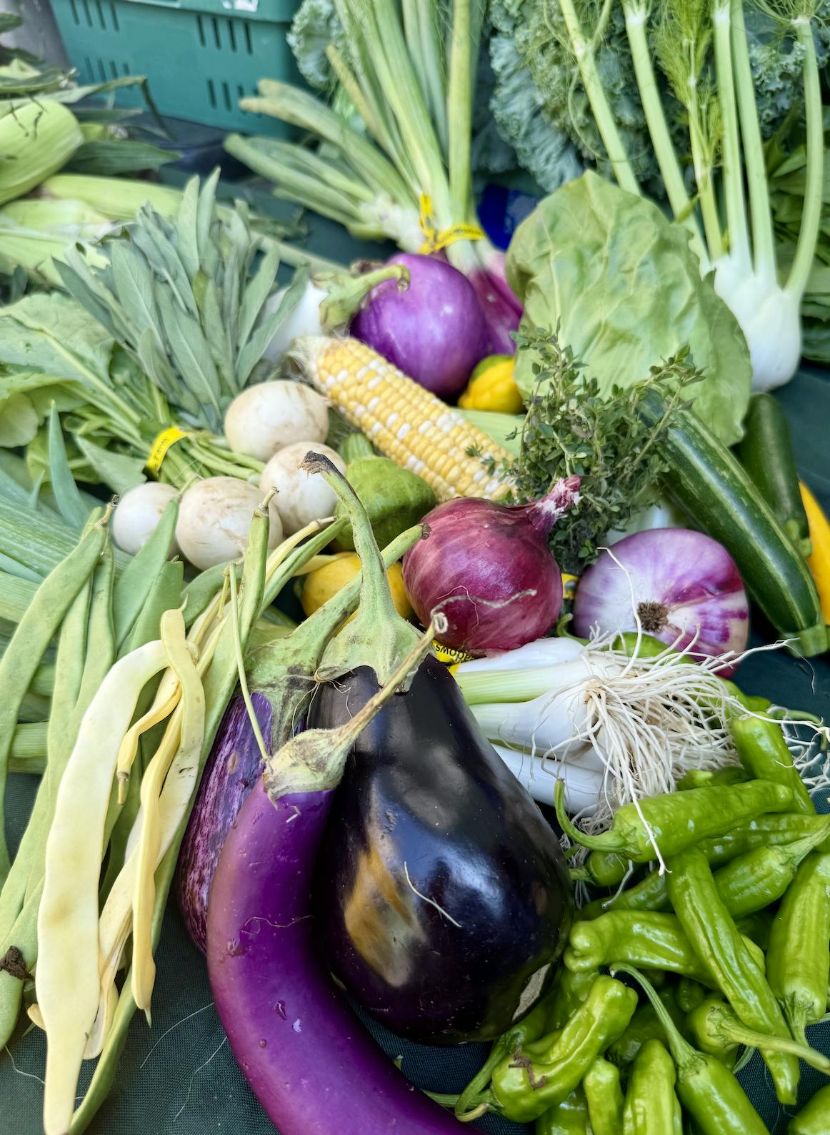 Assorted Vegetables Grill Box by Norwich Meadows Farm