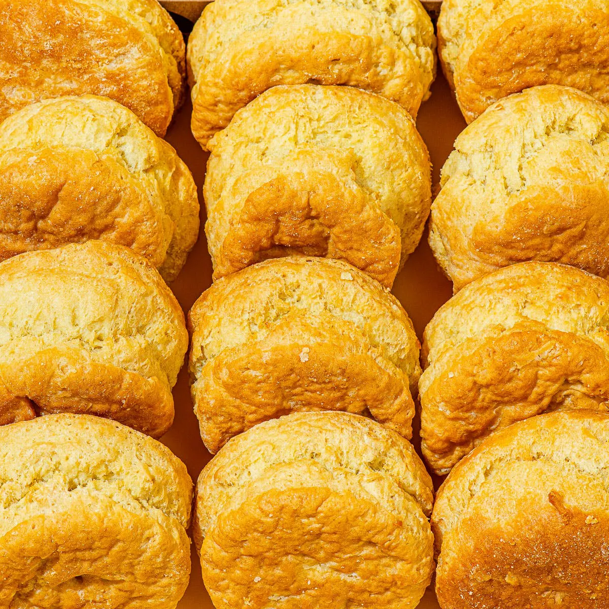 Biscuit & Chanterelle Gravy  - 12 Pack by Pine State Biscuits - Alternate image 2