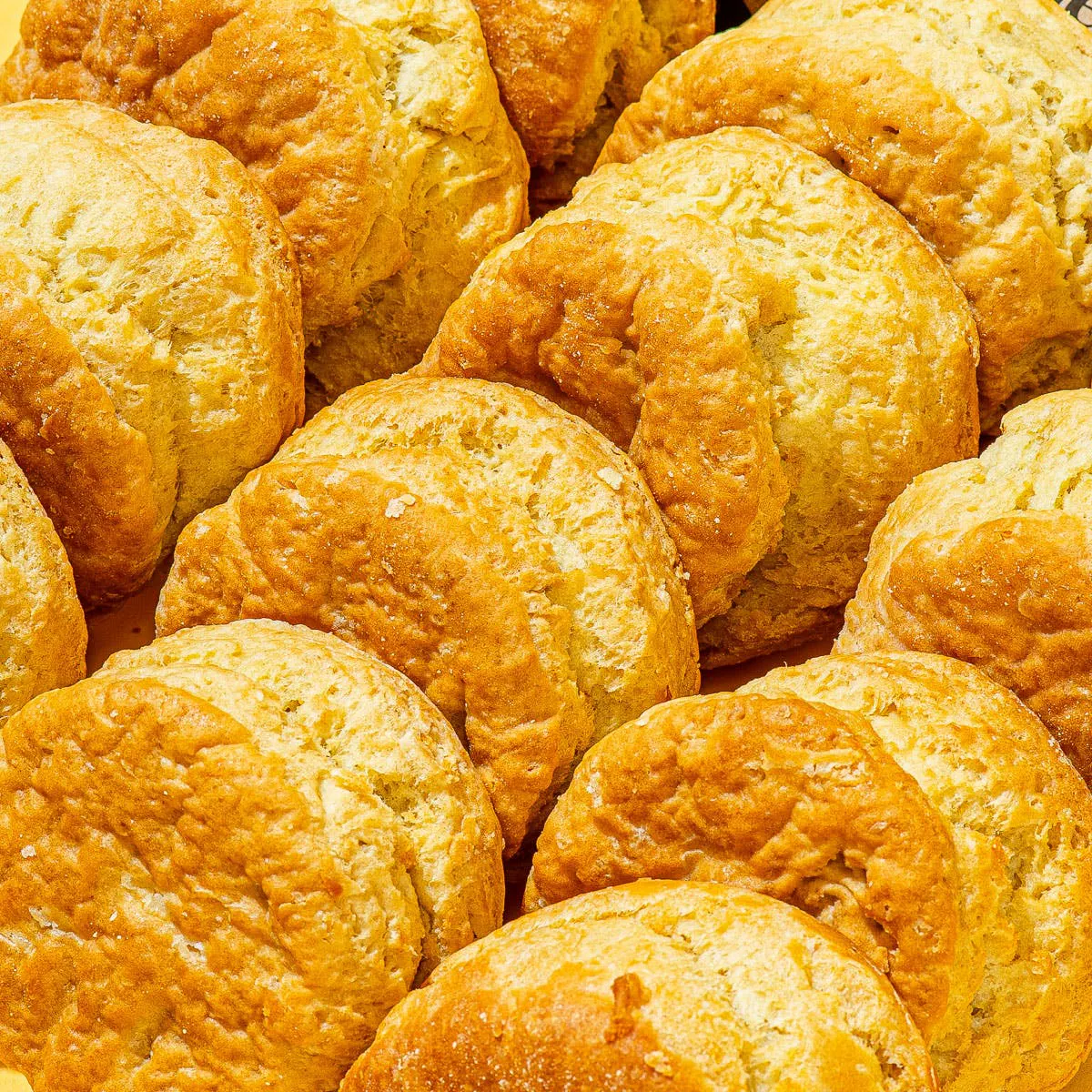 Biscuit & Chanterelle Gravy  - 12 Pack by Pine State Biscuits - Alternate image 1