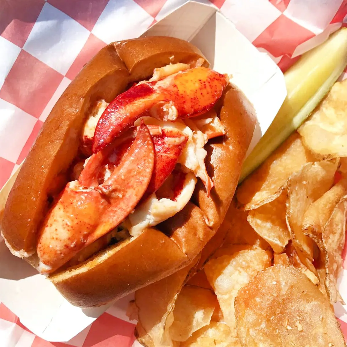 Beal's Famous Lobster Roll Kit + Shirt Gift Set by Beal's Lobster Pier - Alternate image 9