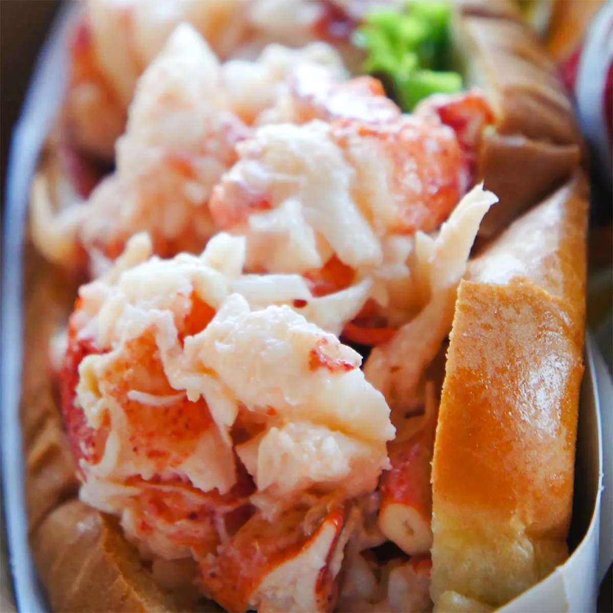 Beal's Famous Lobster Roll Kit + Shirt Gift Set by Beal's Lobster Pier - Alternate image 8
