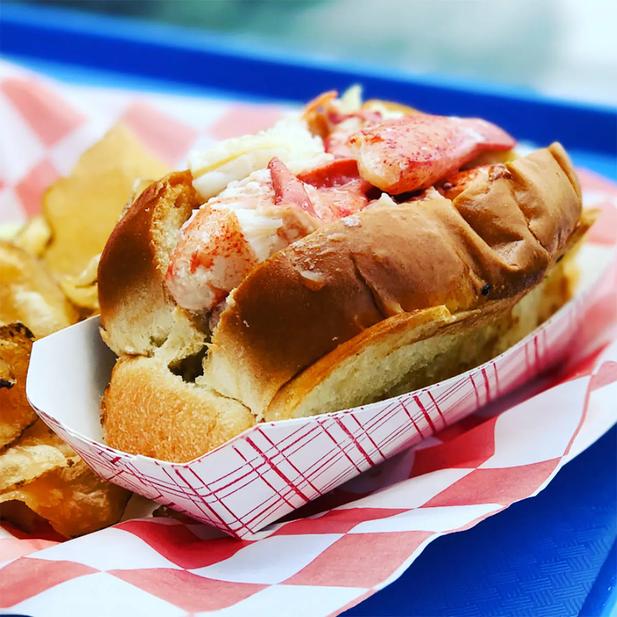 Beal's Famous Lobster Roll Kit + Shirt Gift Set by Beal's Lobster Pier - Alternate image 3