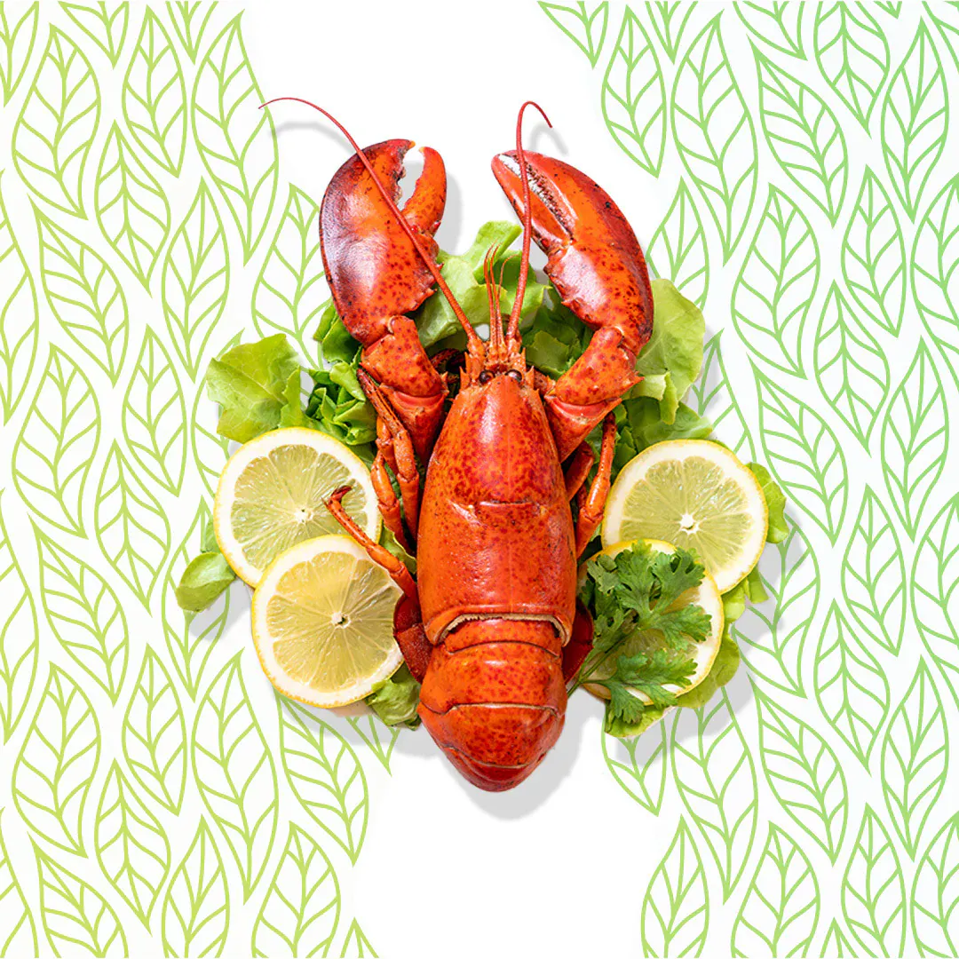 Maine Lobster (Live) by Get Maine Lobster - Alternate image 2