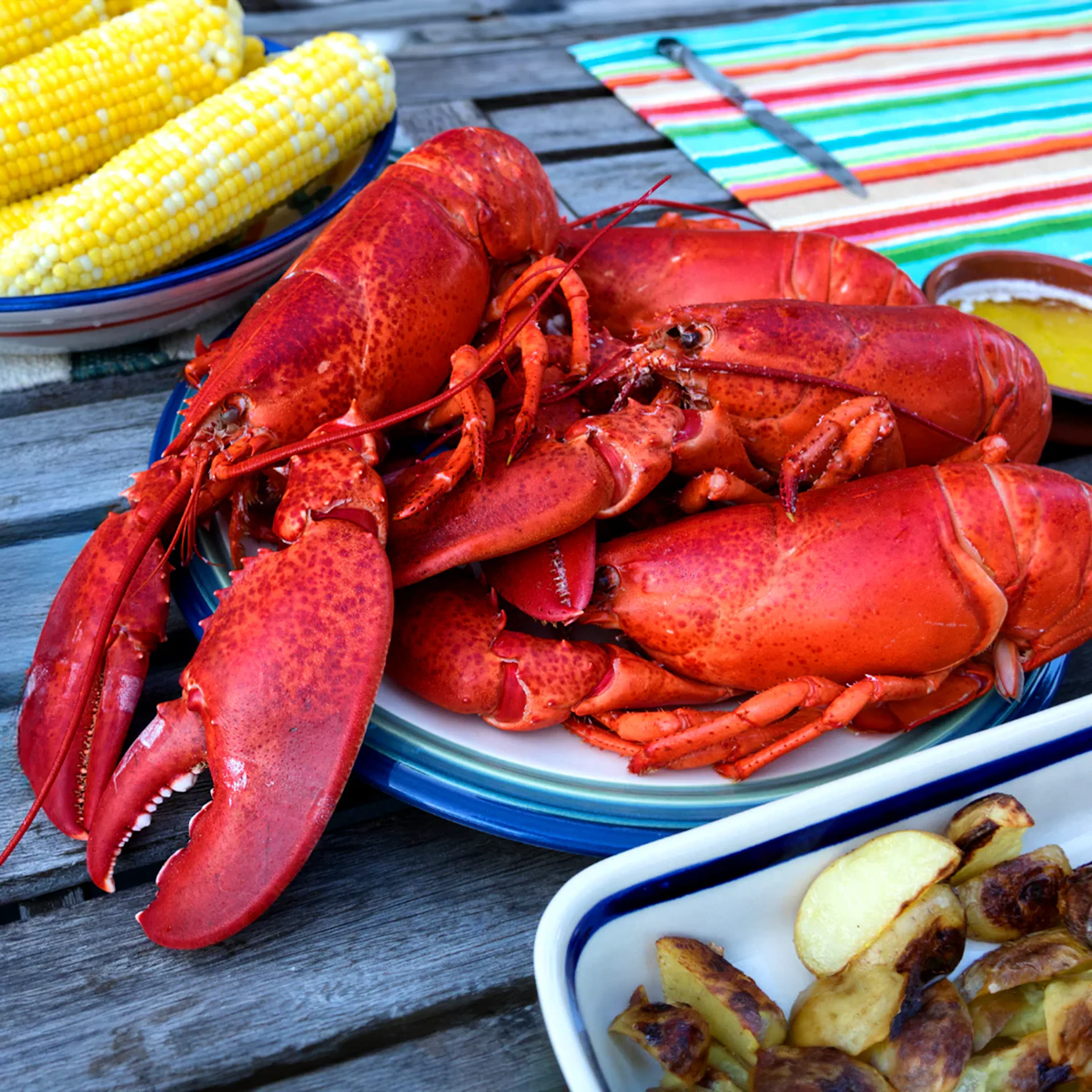 Maine Lobster (Live) by Get Maine Lobster