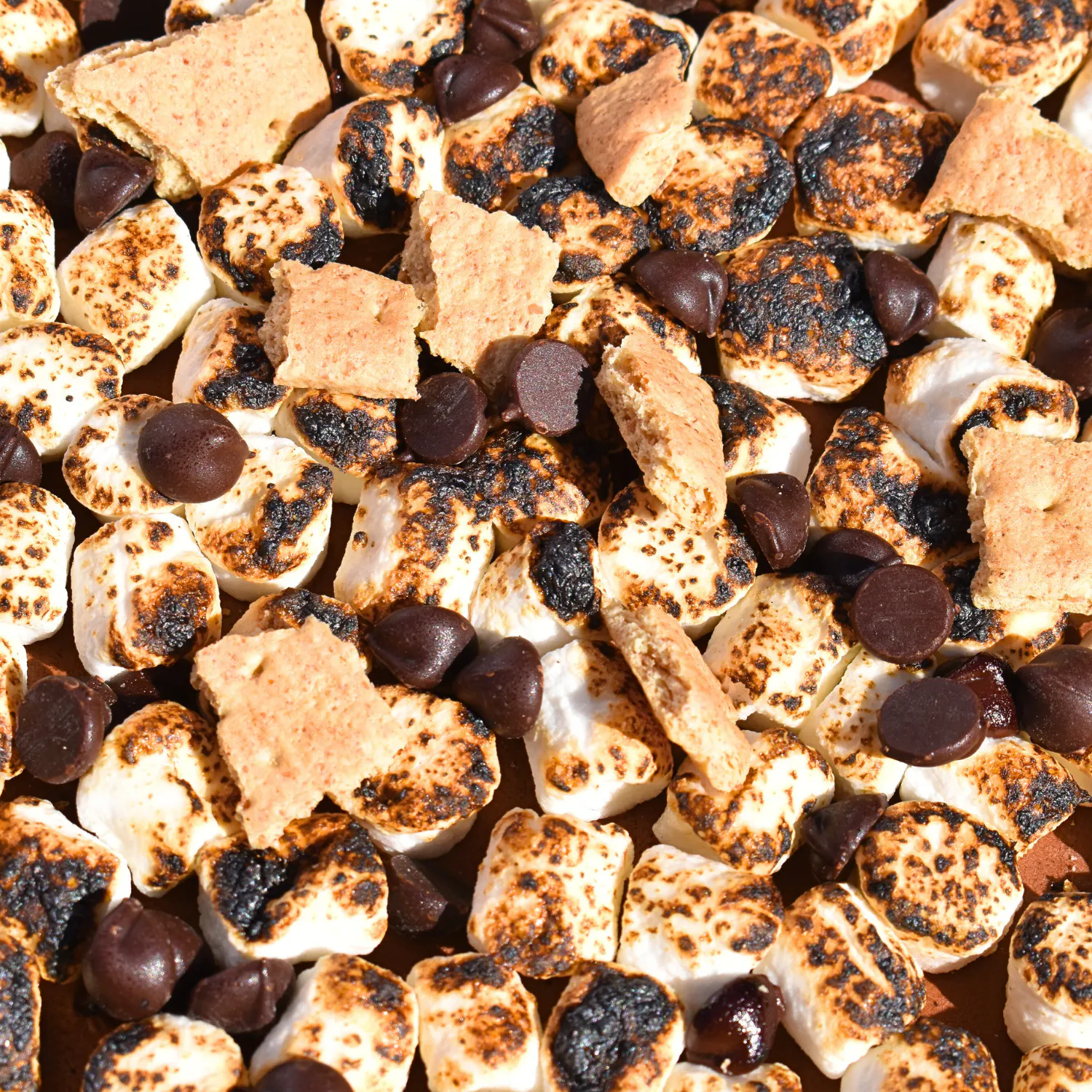 S'mores Ice Cream Pie by Andia's Ice Cream - Alternate image 2