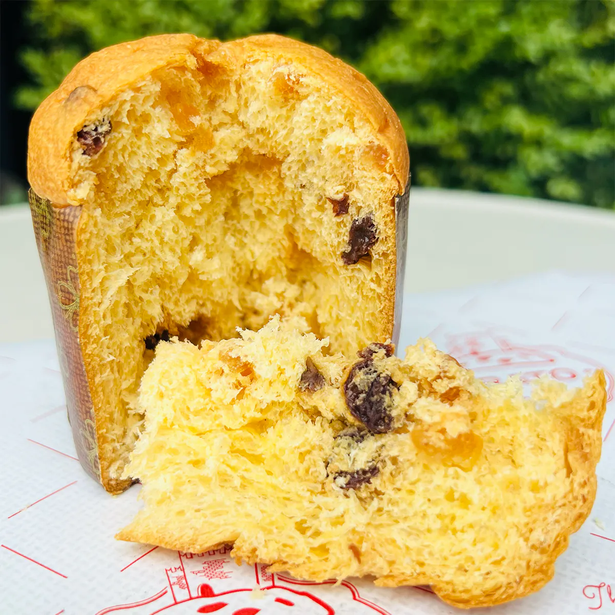 Cantucci Biscotti +  Classic Panettone Holiday Gift Box by Prato Bakery - Alternate image 3