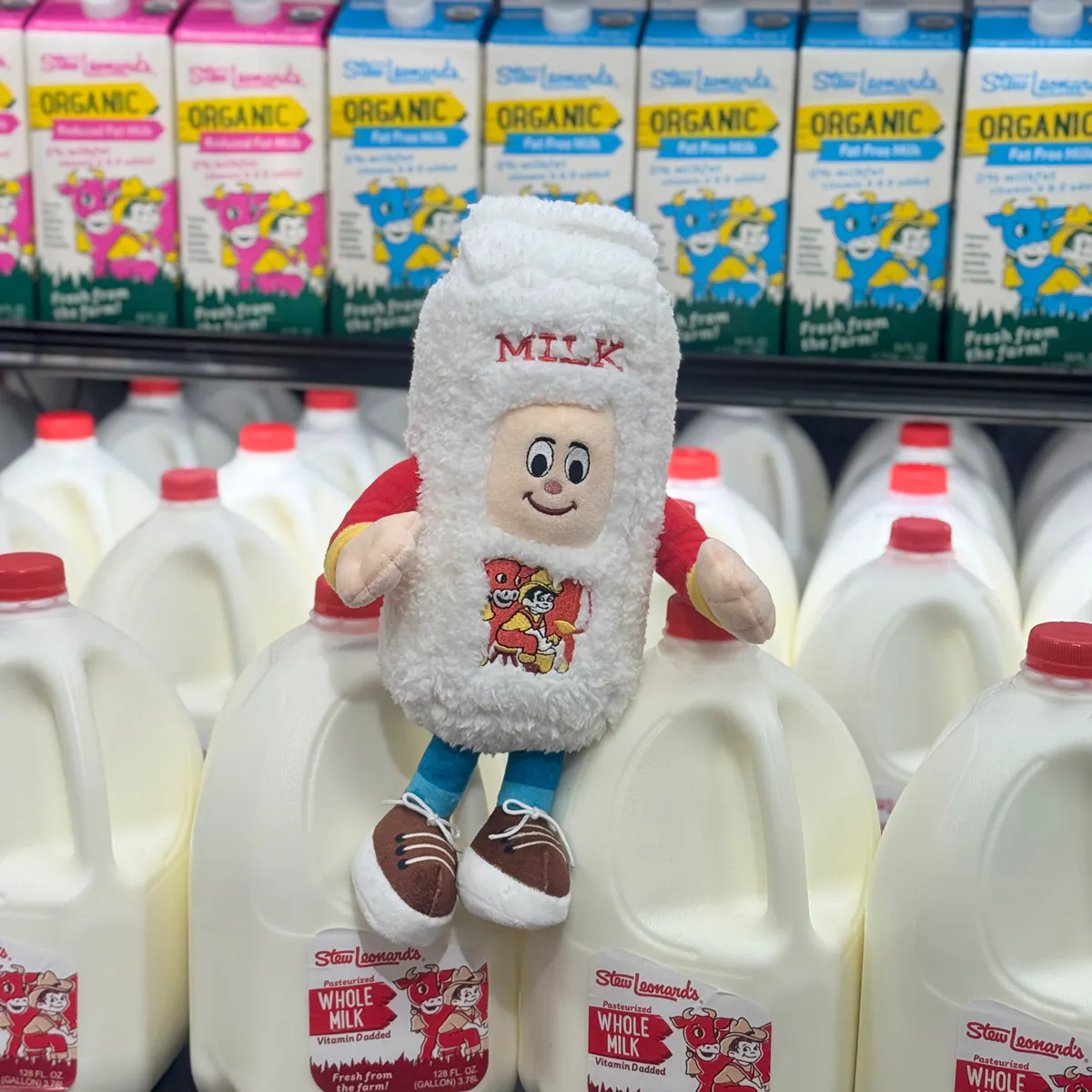 Rich Milk Carton Plush Toy by Stew Leonard's - Alternate image 1