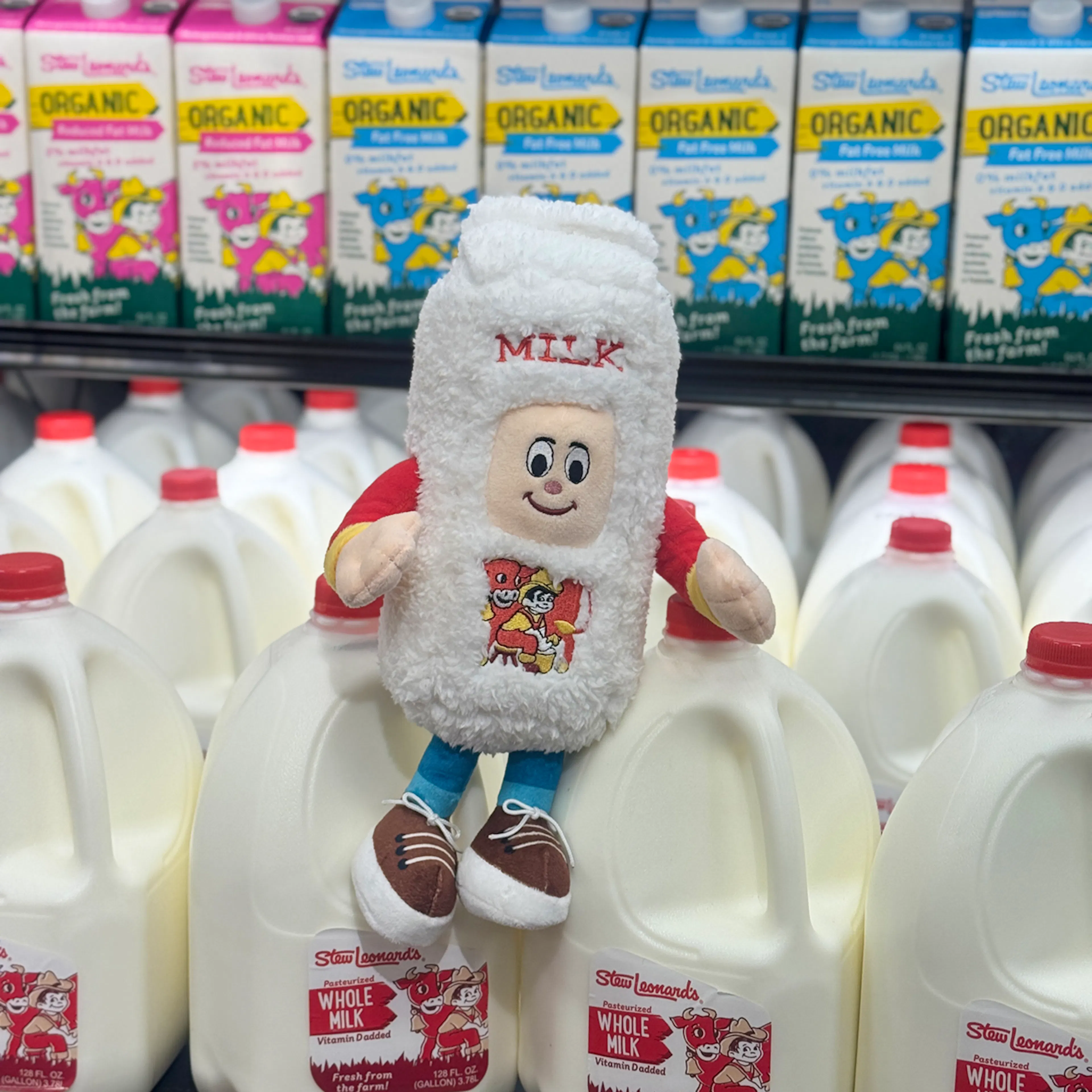 Rich Milk Carton Plush Toy by Stew Leonard's - Alternate image 1