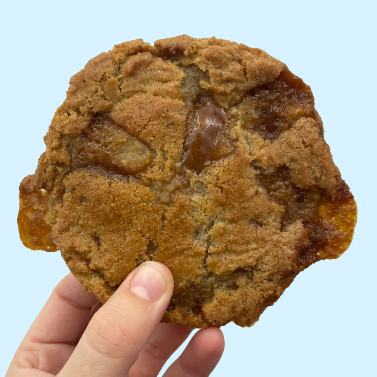 "Really Delicious" Holiday Classics Cookie Sampler - 12 Pack by Janie’s - Alternate image 5