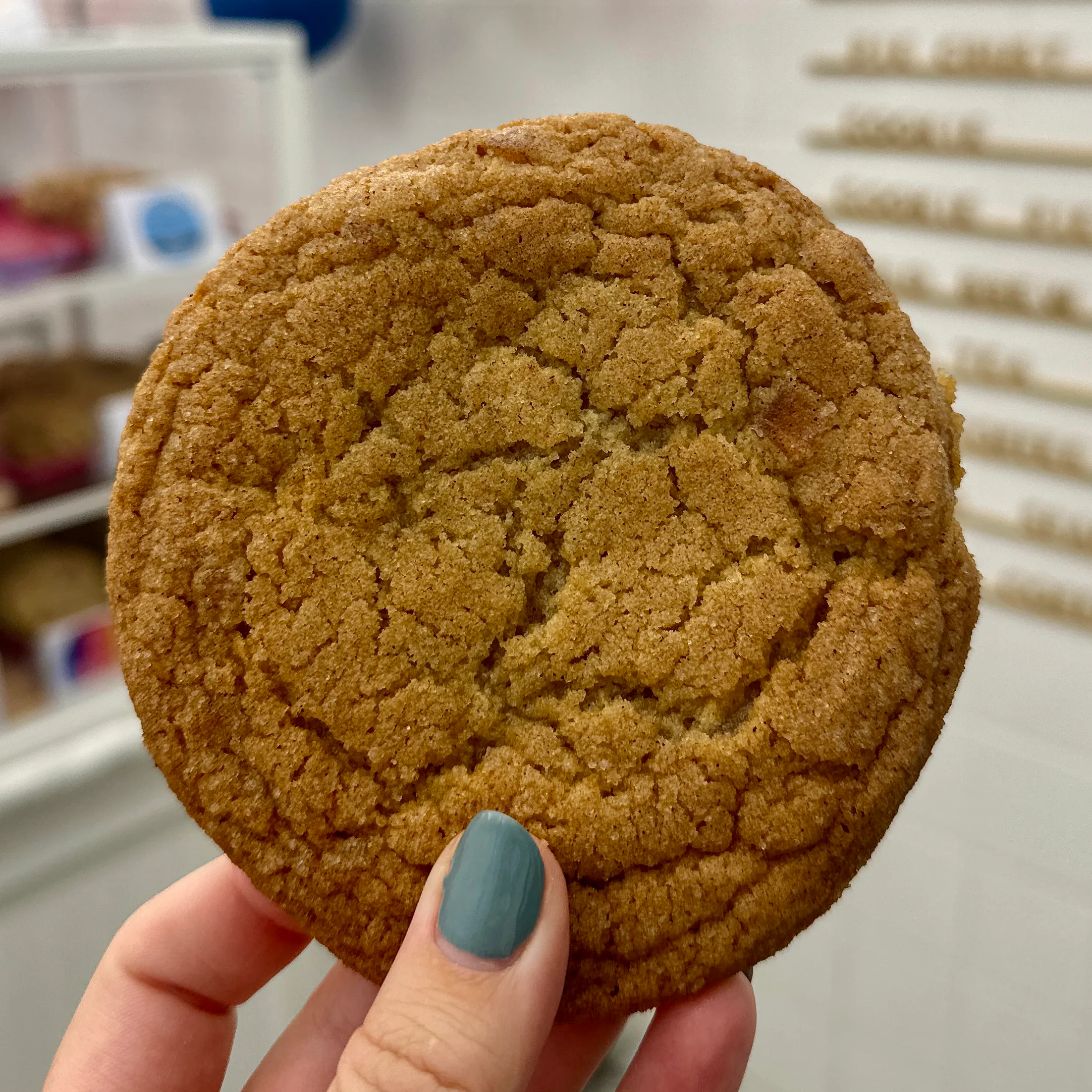 "Really Delicious" Holiday Classics Cookie Sampler - 12 Pack by Janie’s - Alternate image 4