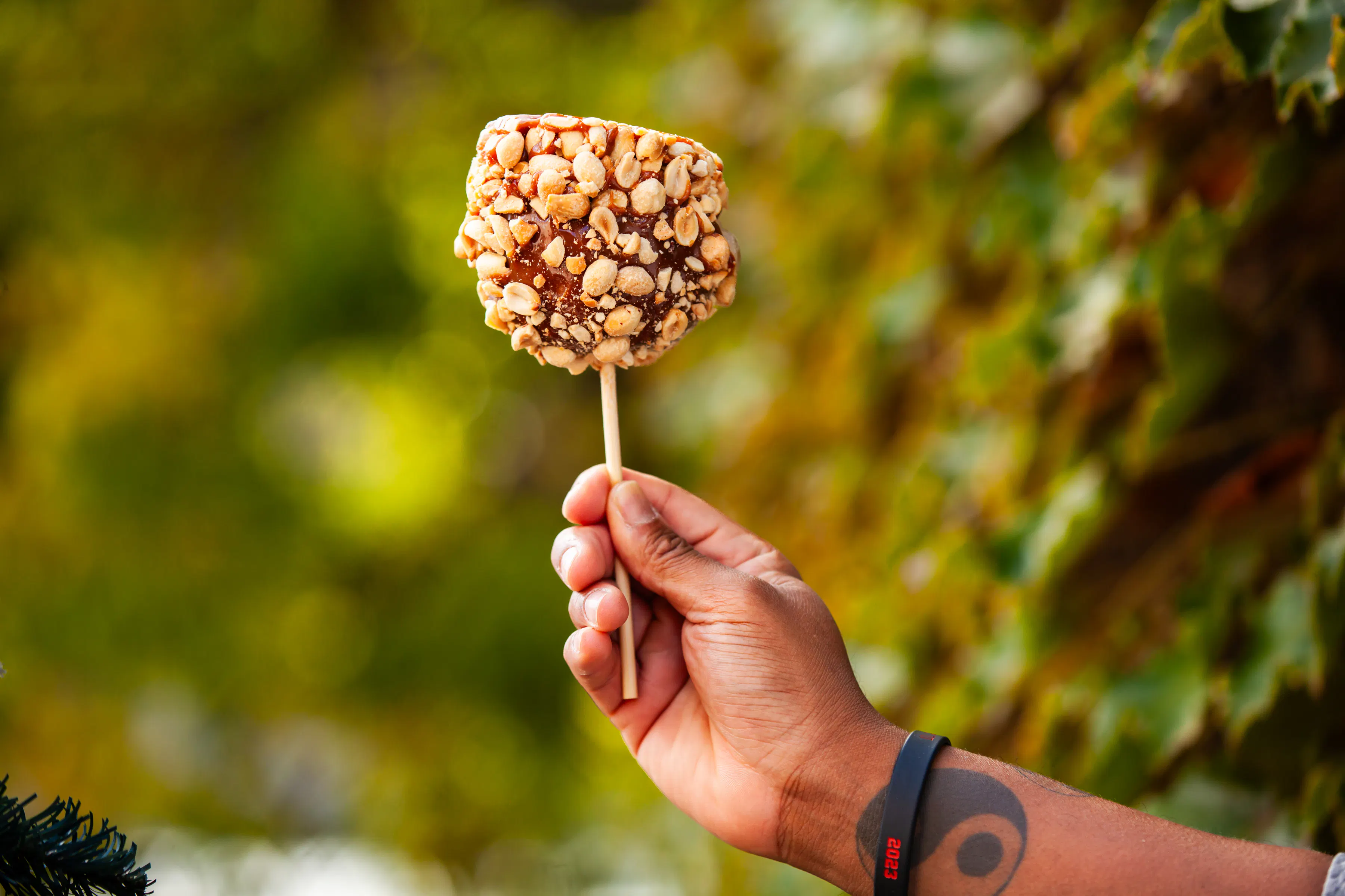 Gourmet Caramel-Dipped Apples - Choose Your Own 3 Pack by Bitoy's Sweet Treats - Alternate image 3