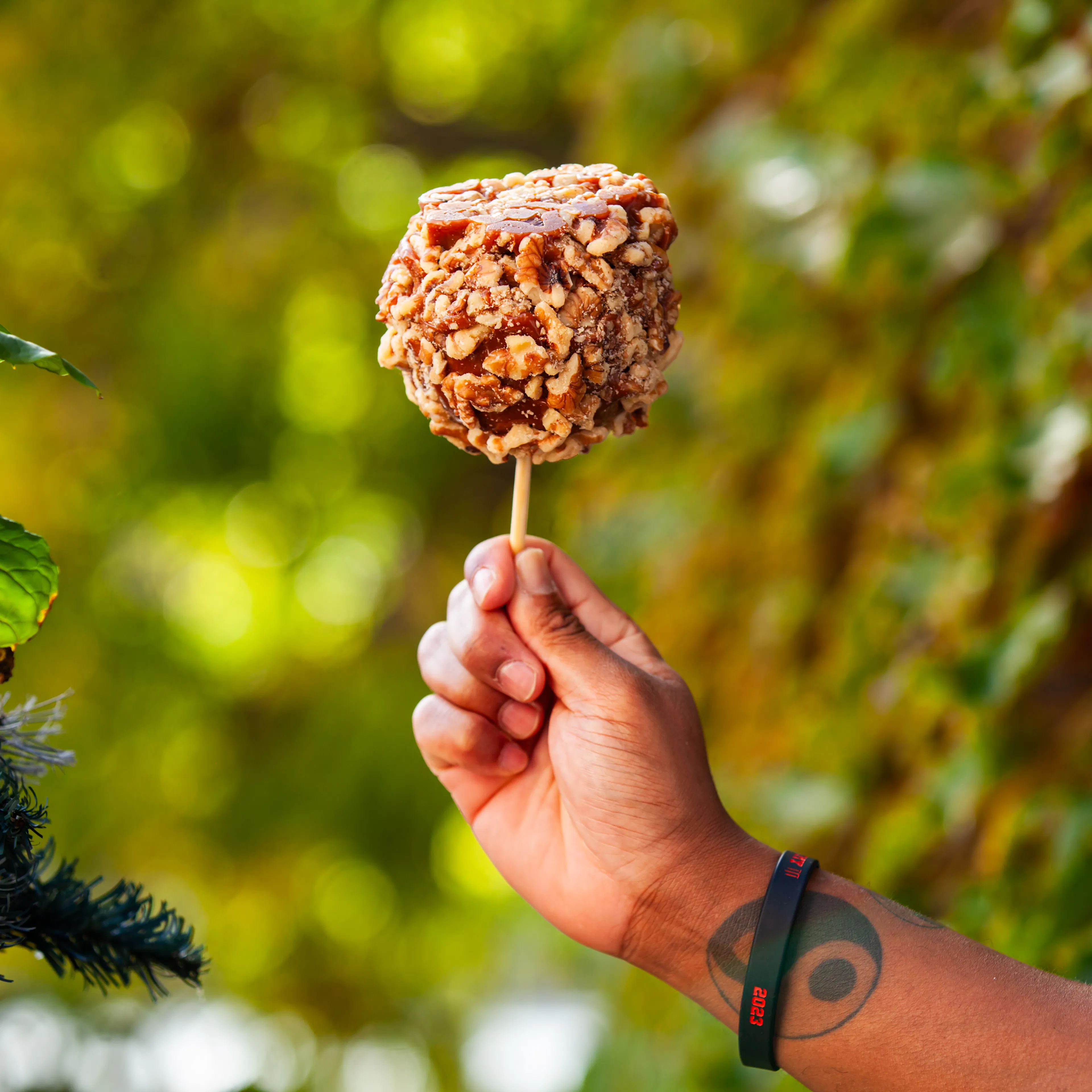 Gourmet Caramel-Dipped Apples - Choose Your Own 3 Pack by Bitoy's Sweet Treats - Alternate image 2