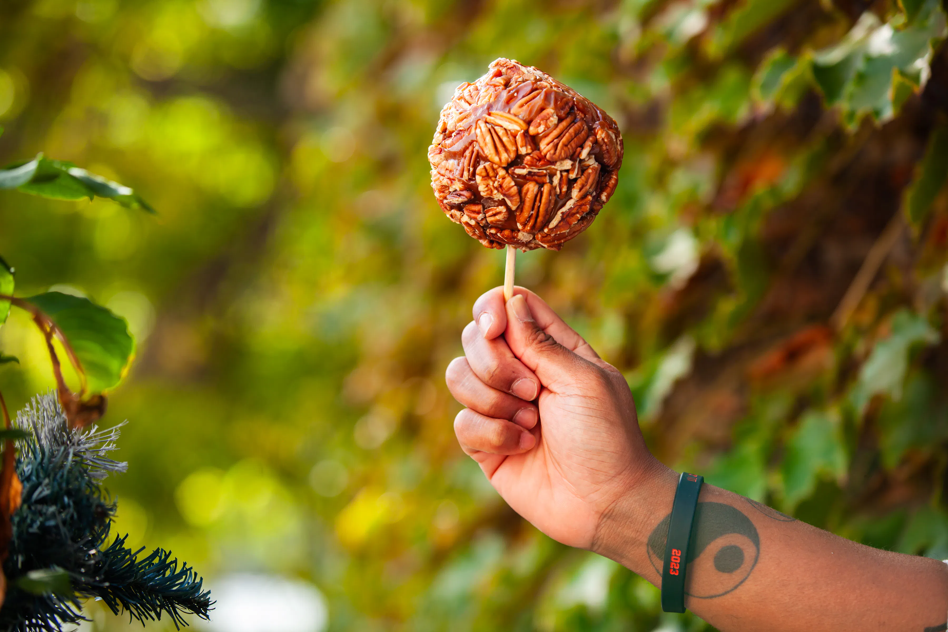 Gourmet Caramel-Dipped Apples - Choose Your Own 3 Pack by Bitoy's Sweet Treats - Alternate image 1