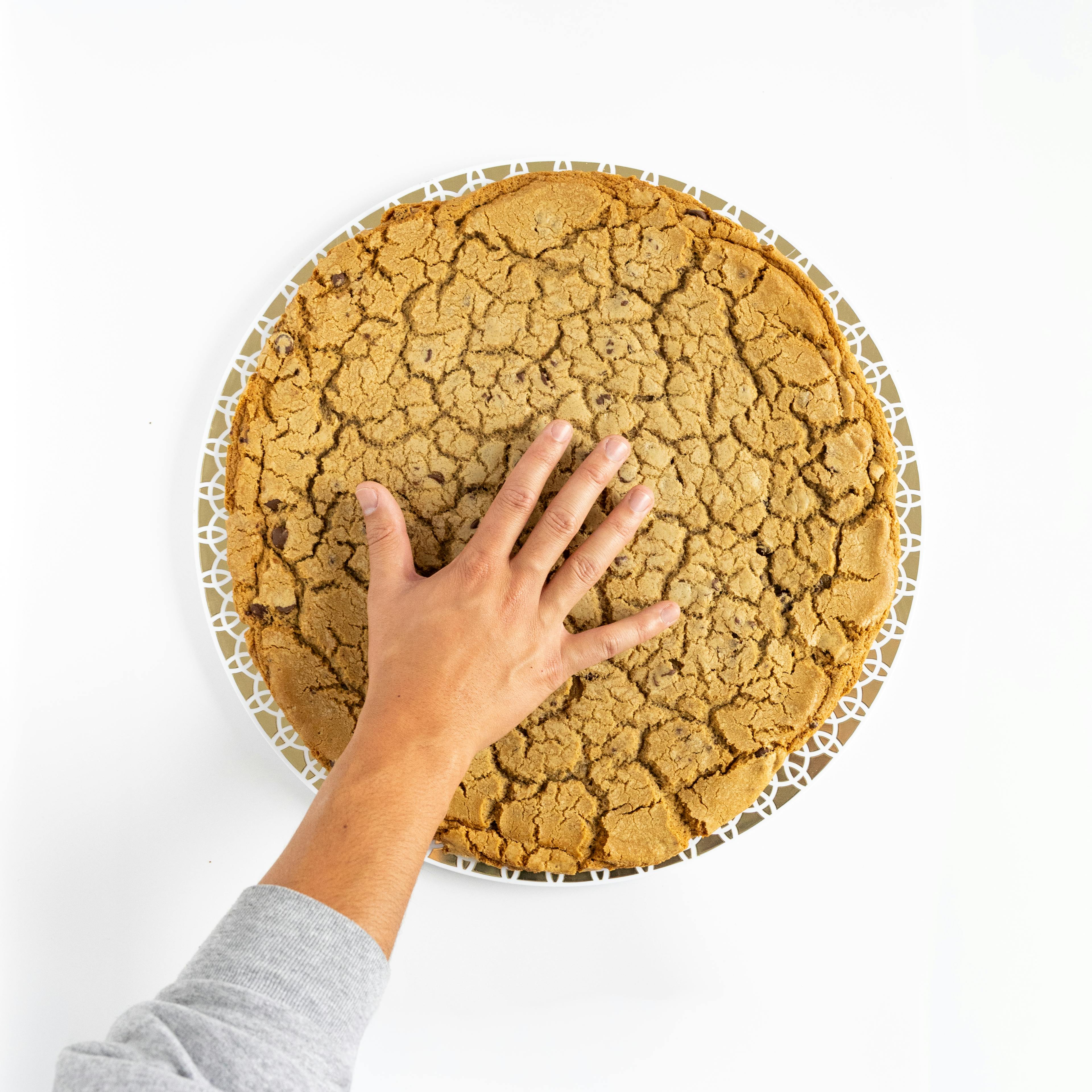 GIANT 5lb Cookie - Choose Your Own by T-Rex Cookie Company - Alternate image 9