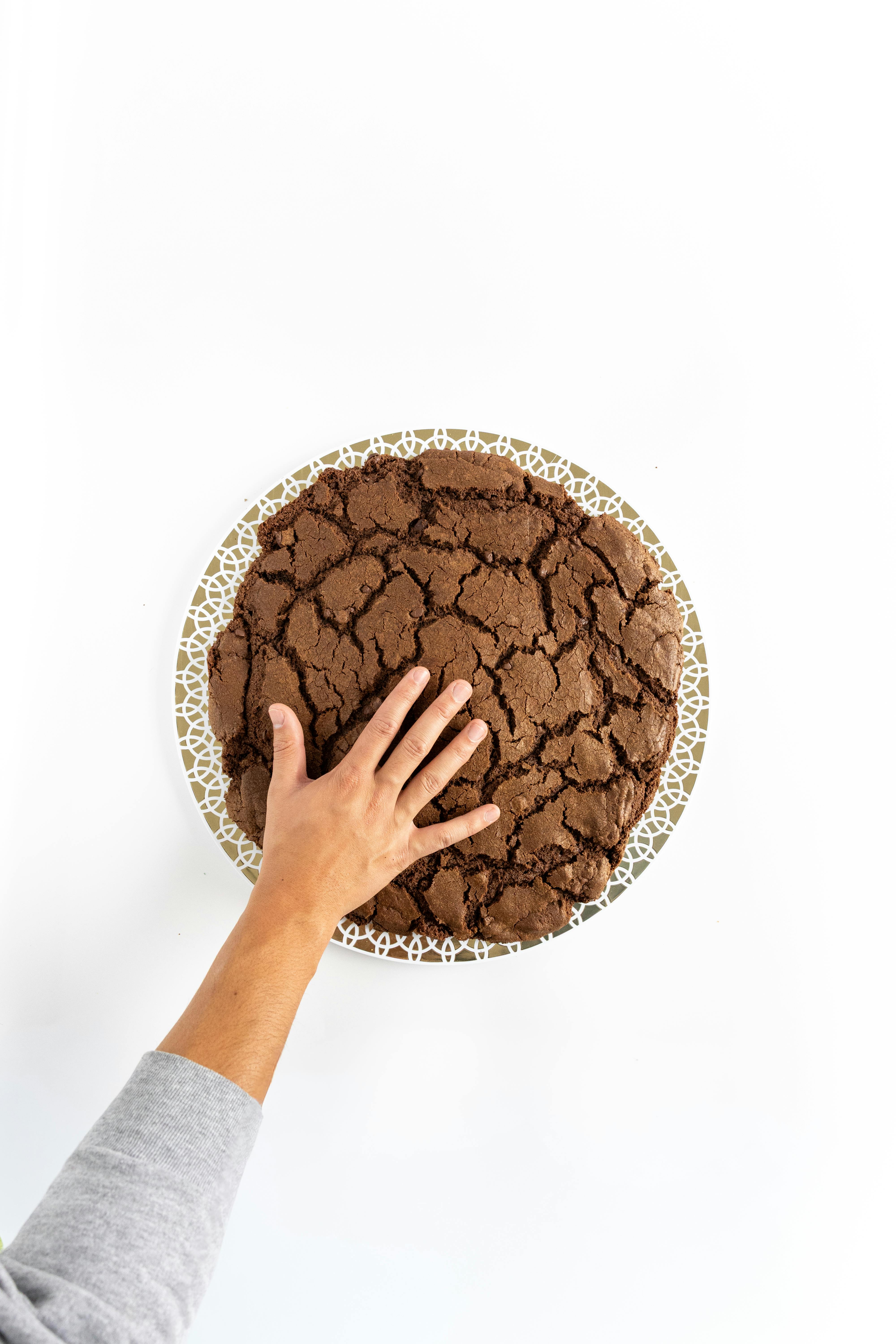 GIANT 5lb Cookie - Choose Your Own by T-Rex Cookie Company - Alternate image 14