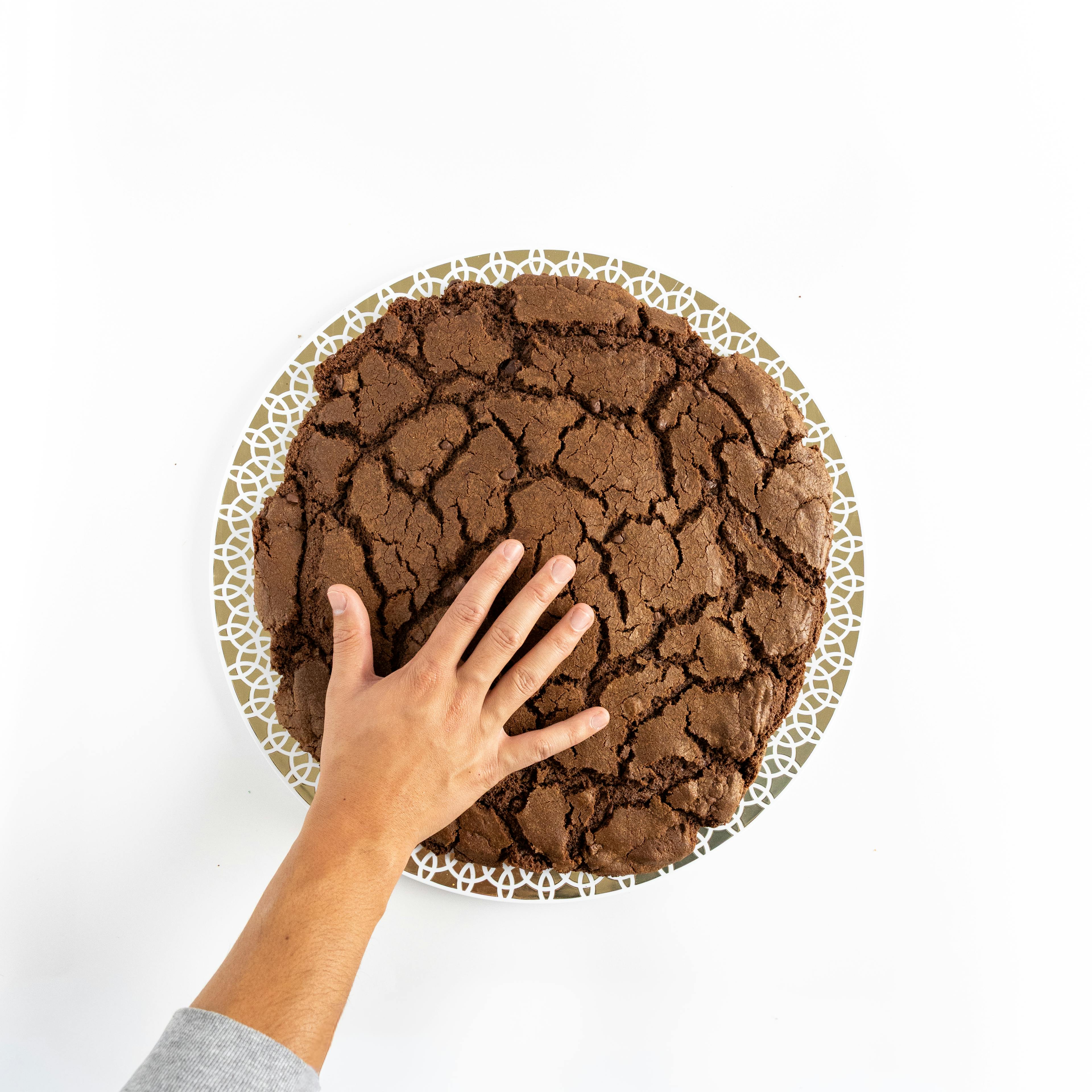 GIANT 5lb Cookie - Choose Your Own by T-Rex Cookie Company - Alternate image 14