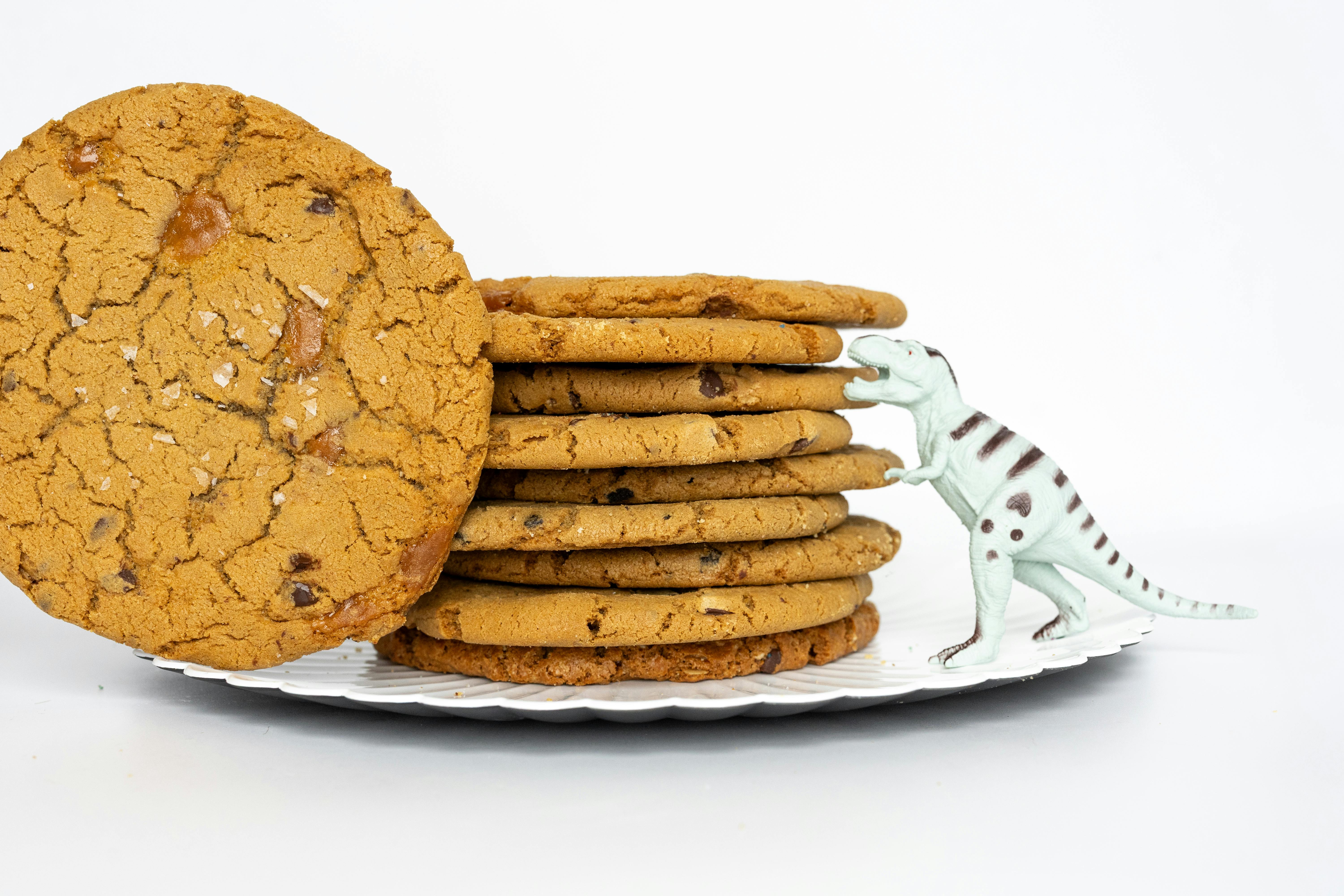 GIANT Sea Salt Caramel Chocolate Chip Cookies - 10 Pack by T-Rex Cookie Company - Alternate image 4