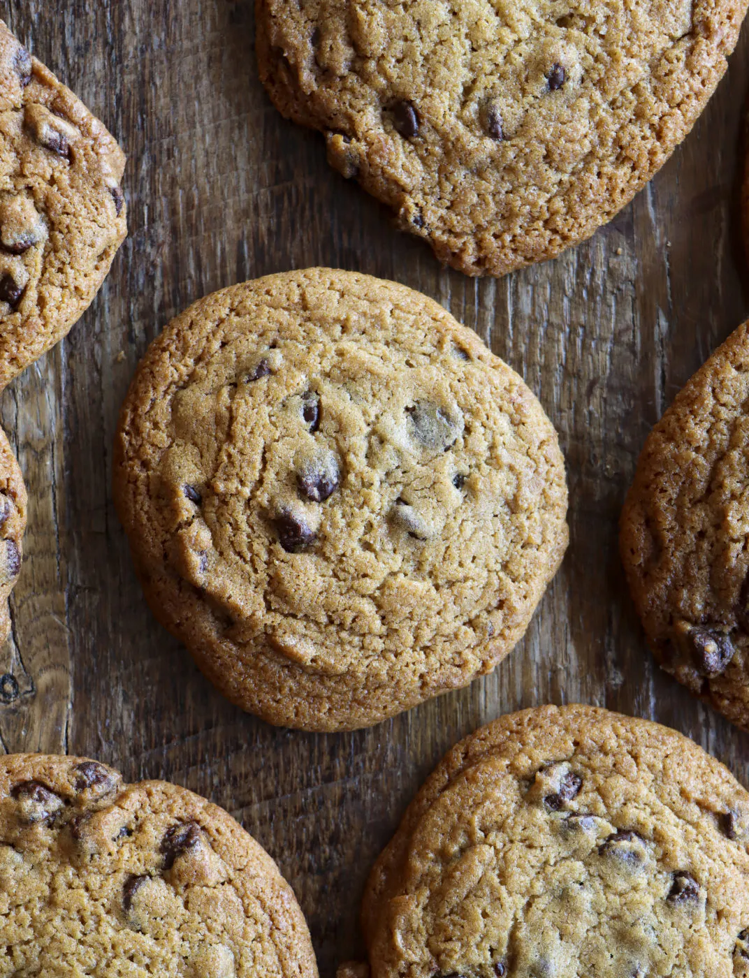 Chocolate Chip Cookies - 12 Pack by Three Brothers Bakery - Alternate image 4