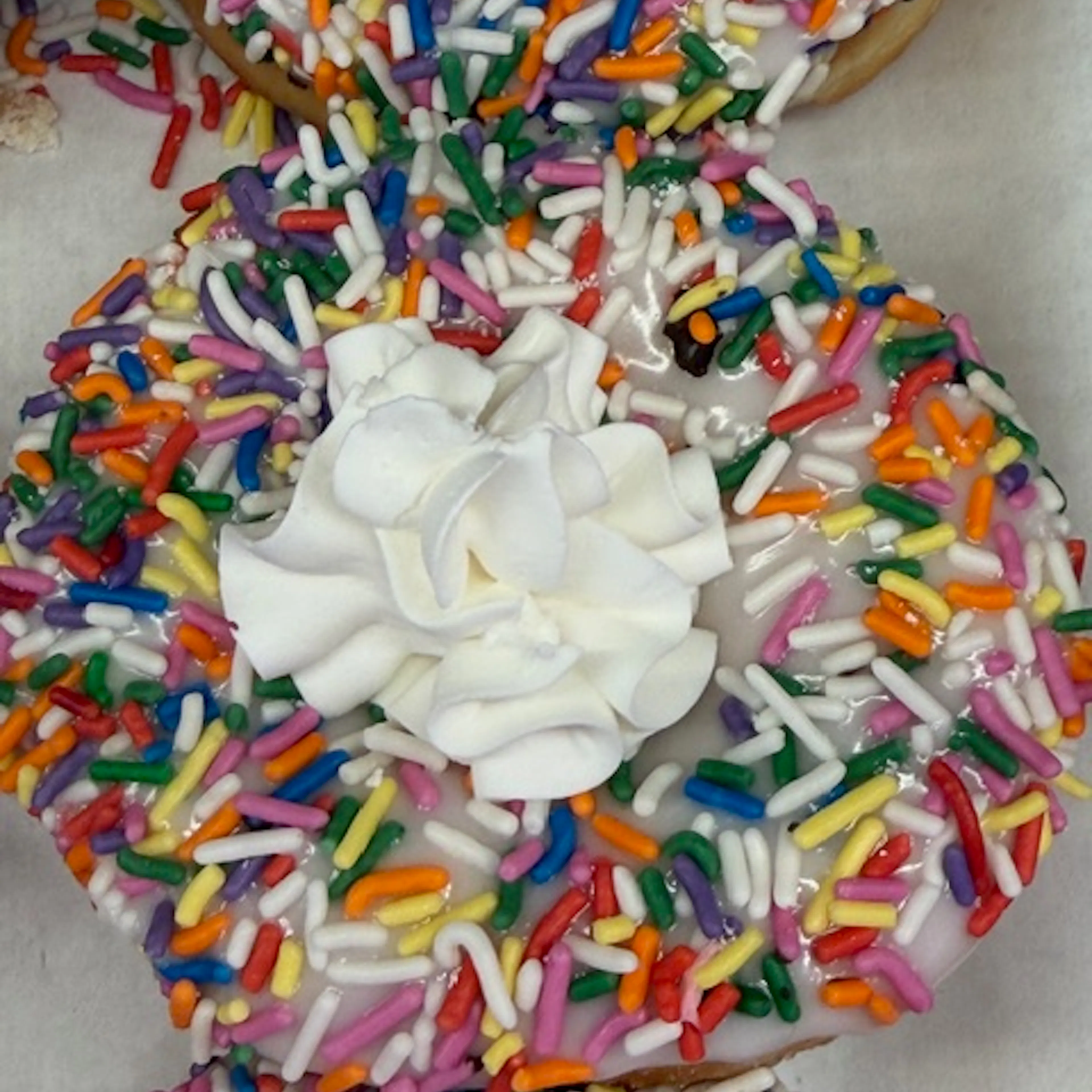 Birthday Cake Donuts - 9 Pack by The Donut Pub - Alternate image 4